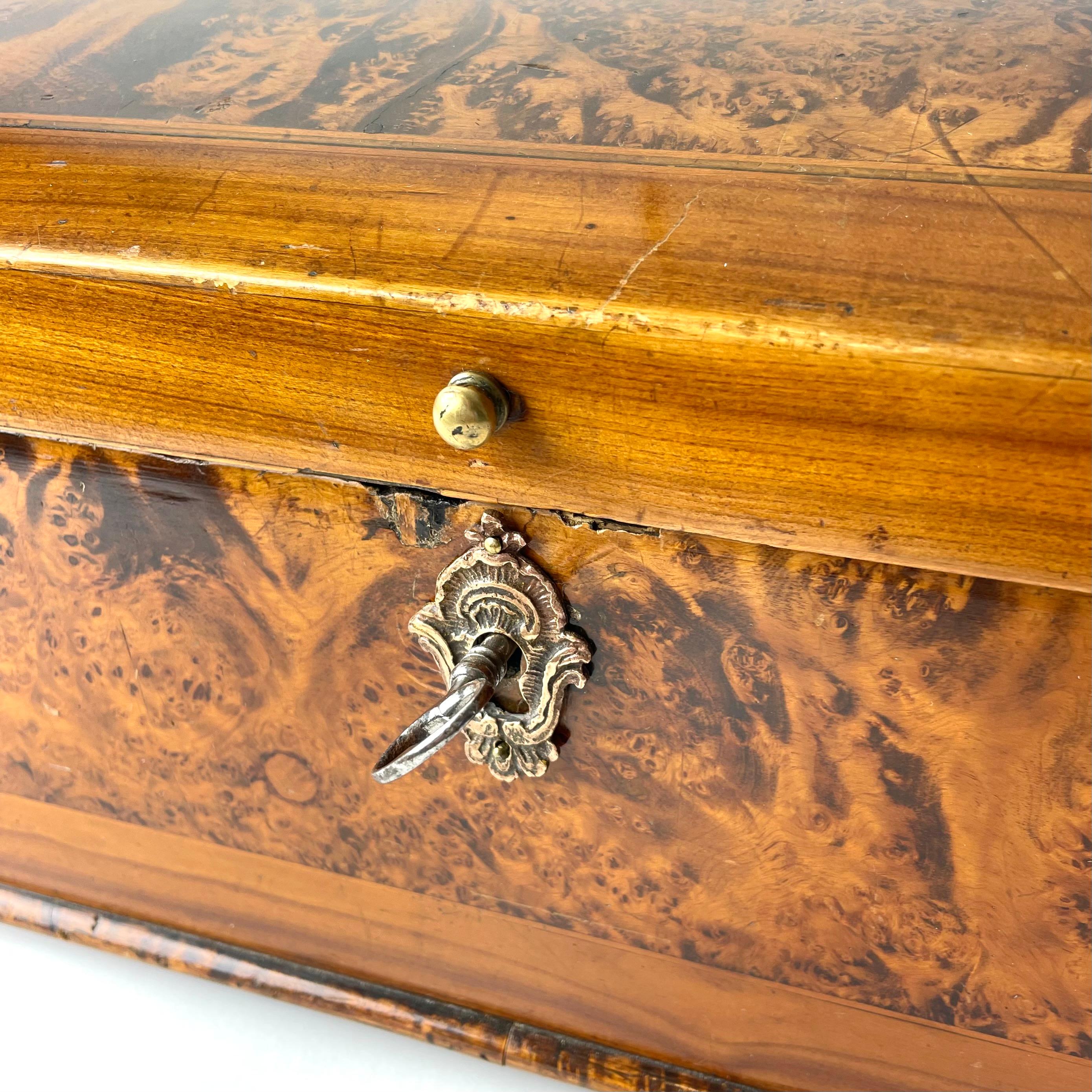 Charming small Chest in Alder Root in Swedish Rococo from 1760s For Sale 1