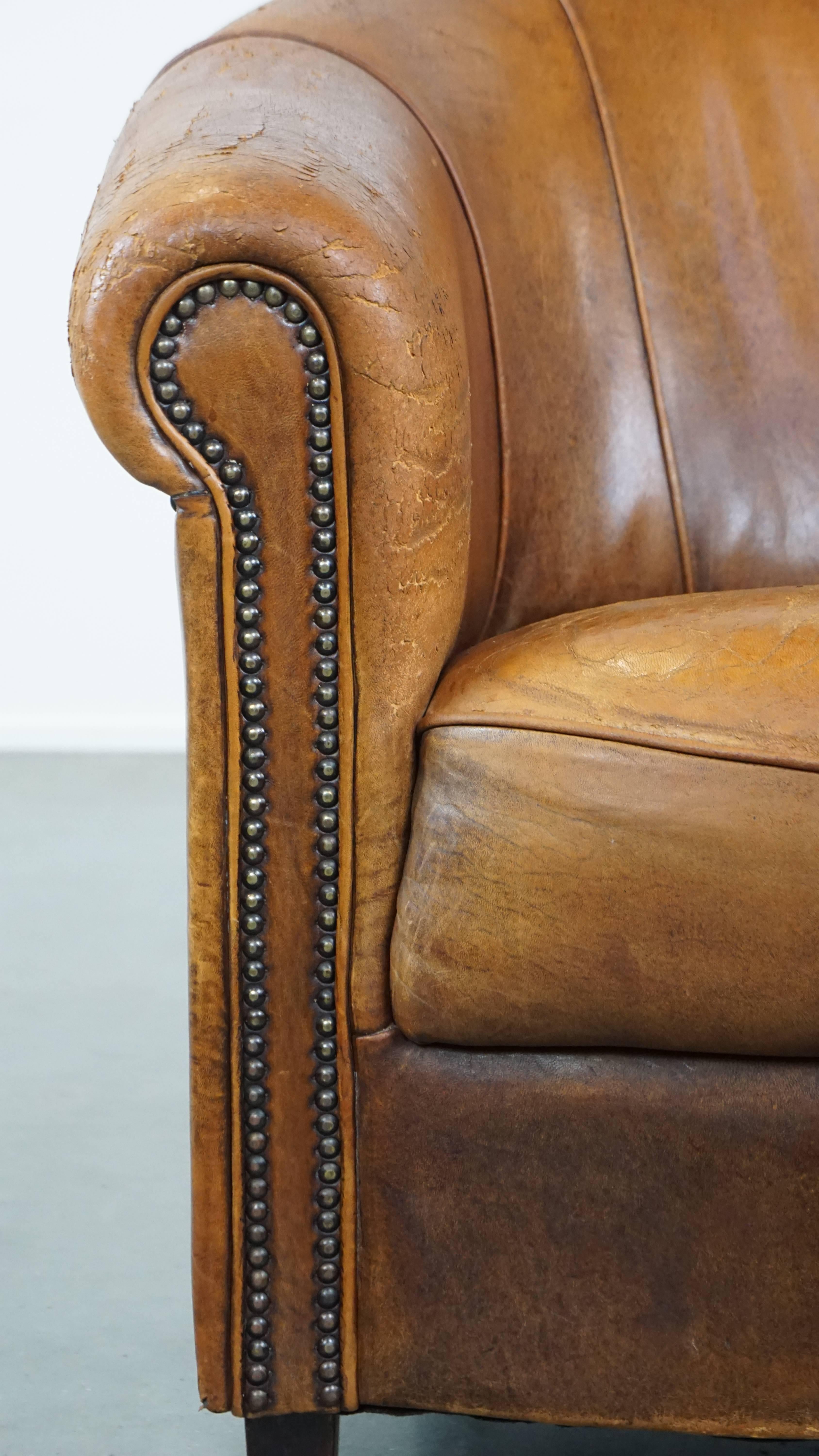 Charming, sturdy and comfortable cognac-colored sheepskin leather club armchair For Sale 6