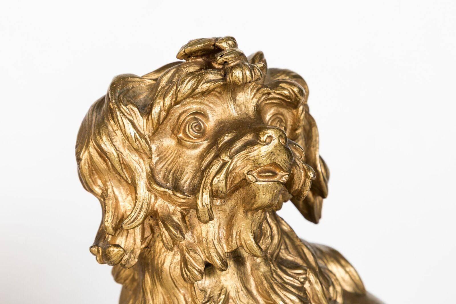 Francese Incantevole cane in bronzo dorato del XIX secolo in vendita