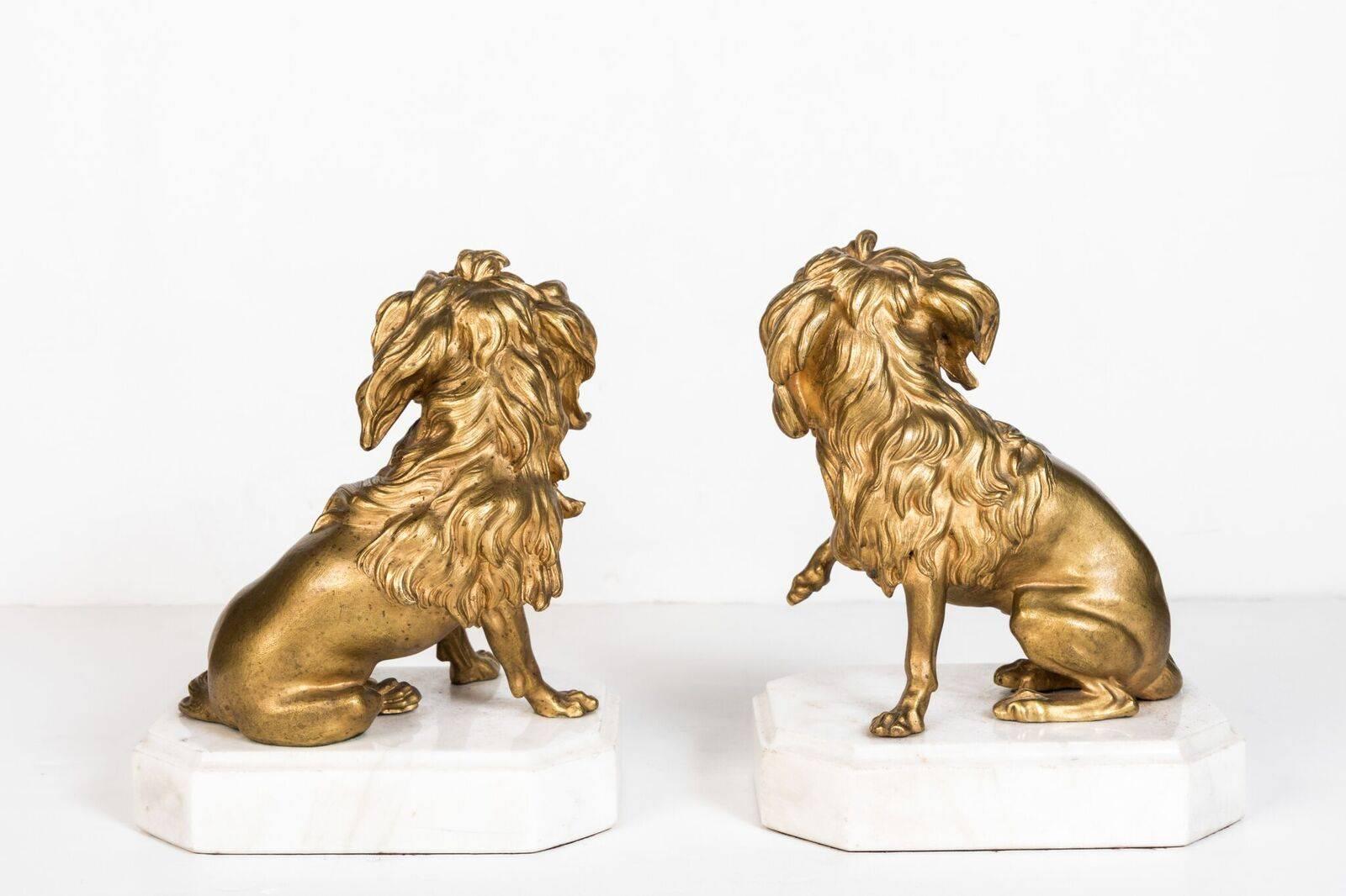 Late 19th Century Charming, 19th Century, Gilt Bronze Dogs For Sale