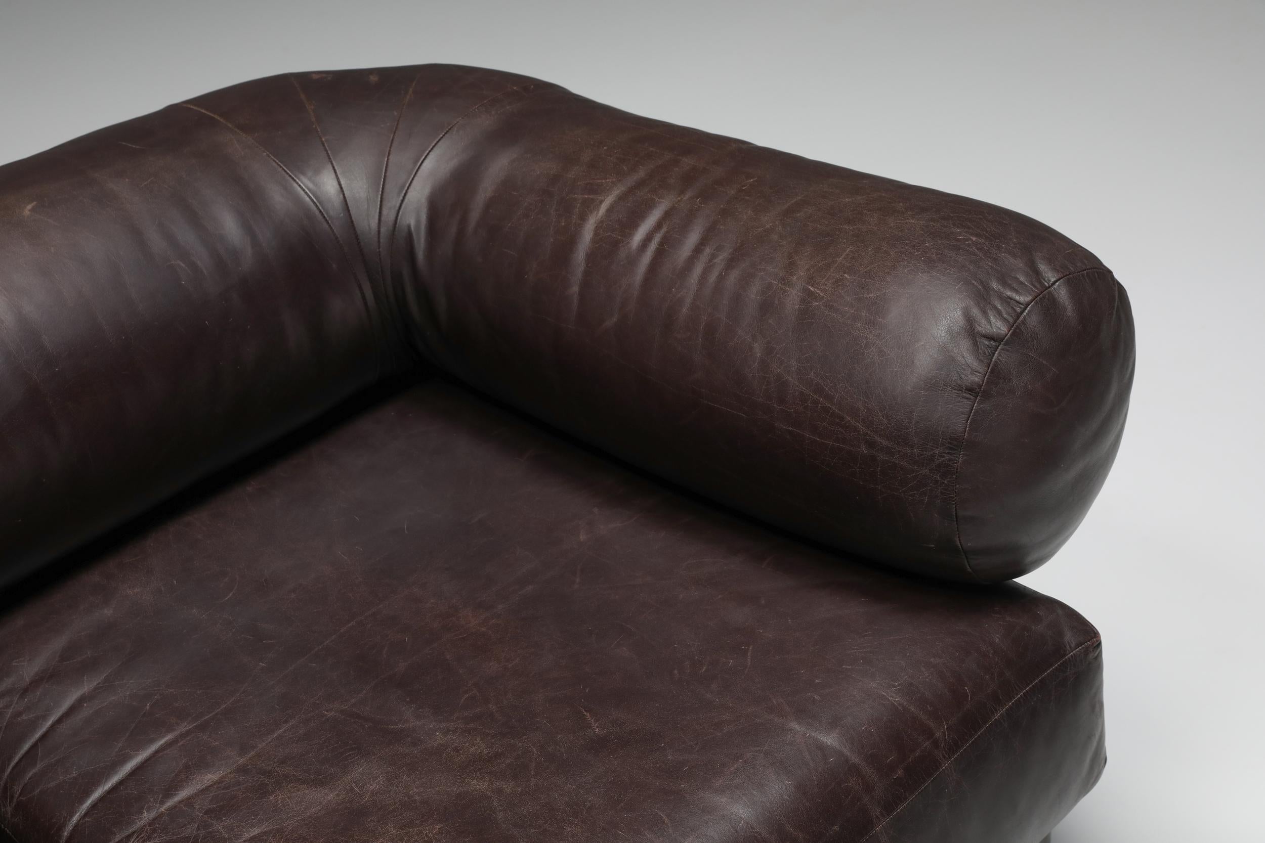 Charpentier Brown Leather 'Apollo' Sofa in Stainless Steel Frame, 1960s 1