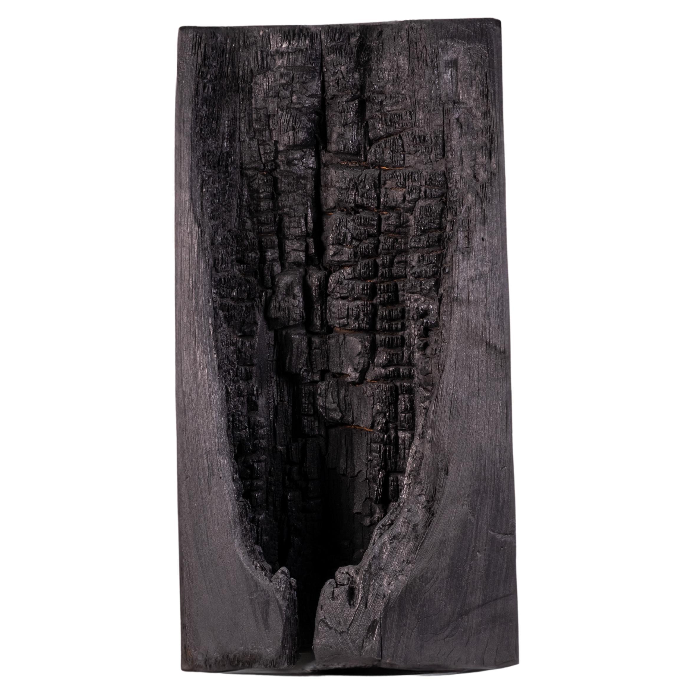 Charred Cypress Decoration For Sale