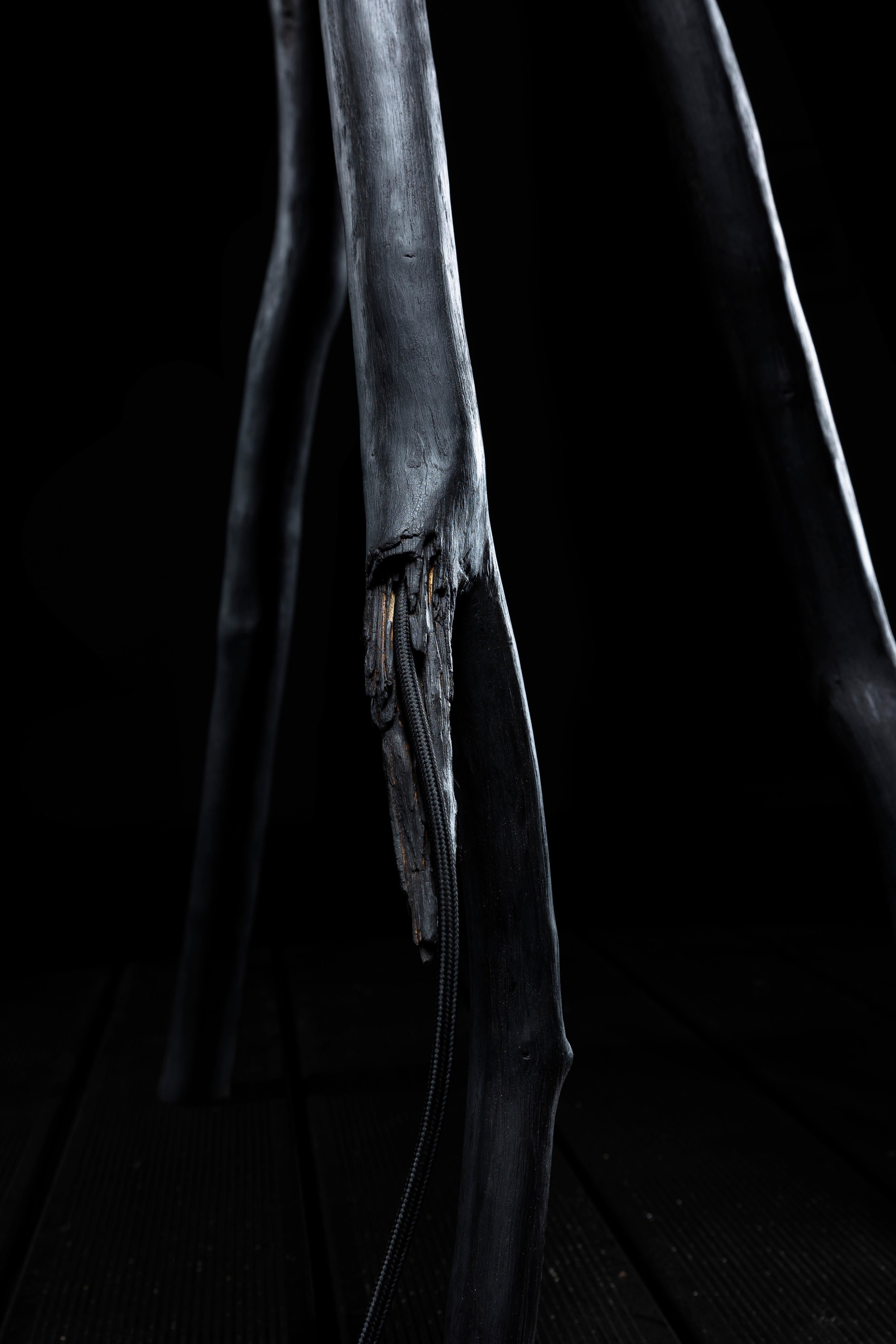Lámpara de pie Snappy Tree Friend Charred & Gold de Marco Iannicelli en Nuevo estado para la venta en Geneve, CH