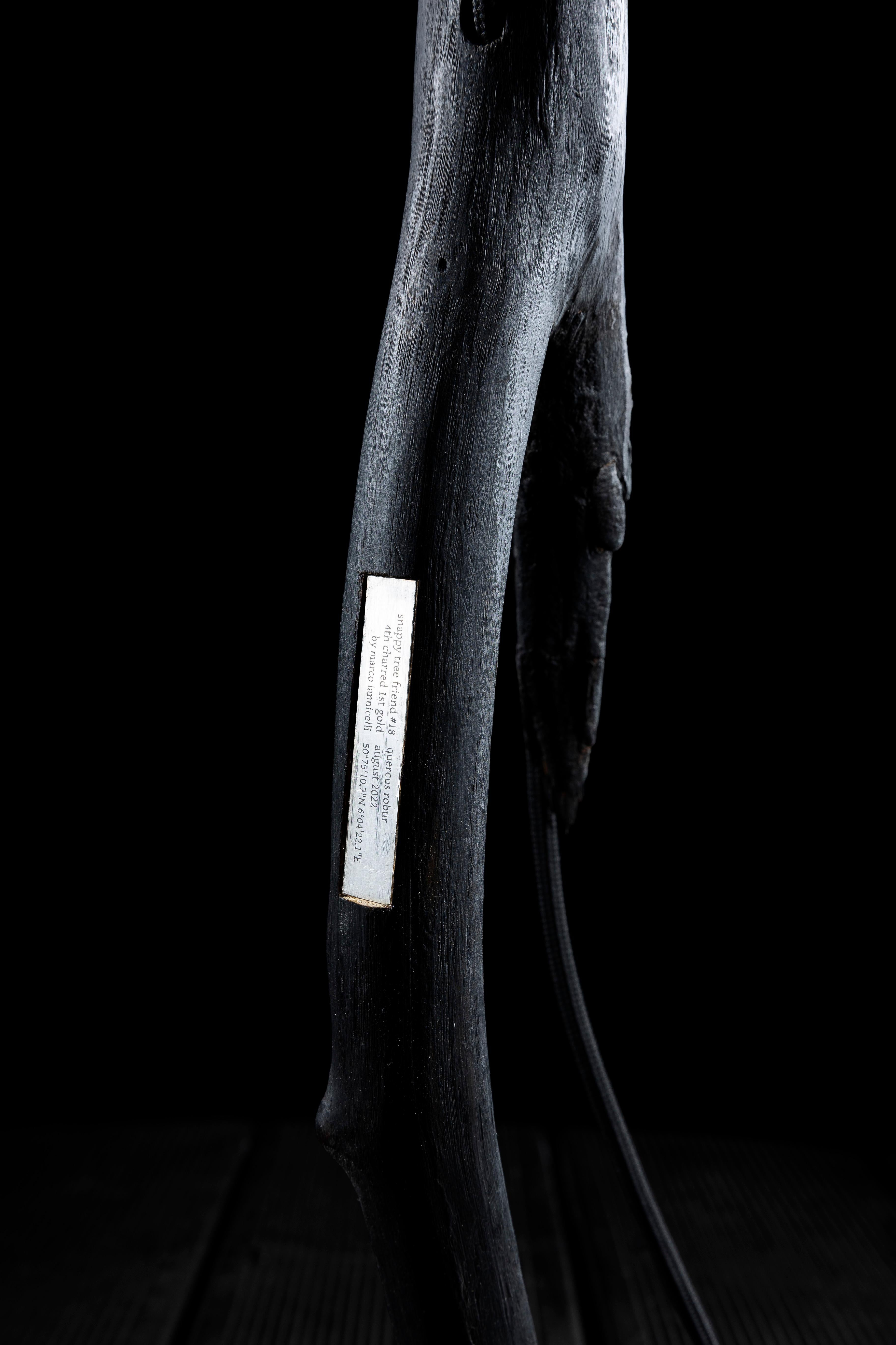 Lámpara de pie Snappy Tree Friend Charred & Gold de Marco Iannicelli Siglo XXI y contemporáneo en venta