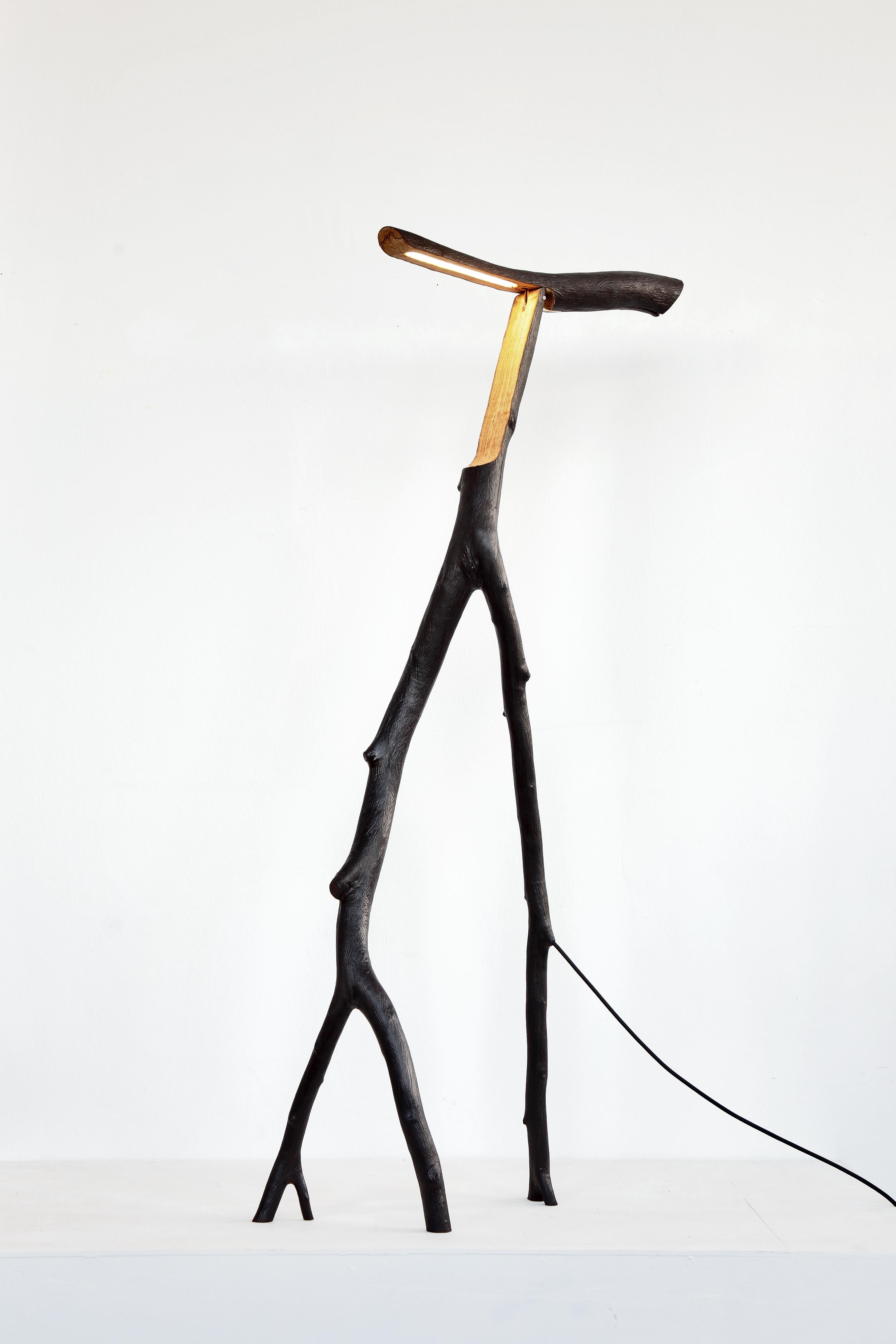 Lámpara de pie Charred Snappy Tree Friend de Marco Iannicelli
Dimensiones: An 45-70 x L 45-70 x Al 185-210 cm
Materiales: Madera.
Peso: 20 Kg. 

Marco Iannicelli es un artista independiente del diseño de productos.
Su estudio se fundó en 2010,