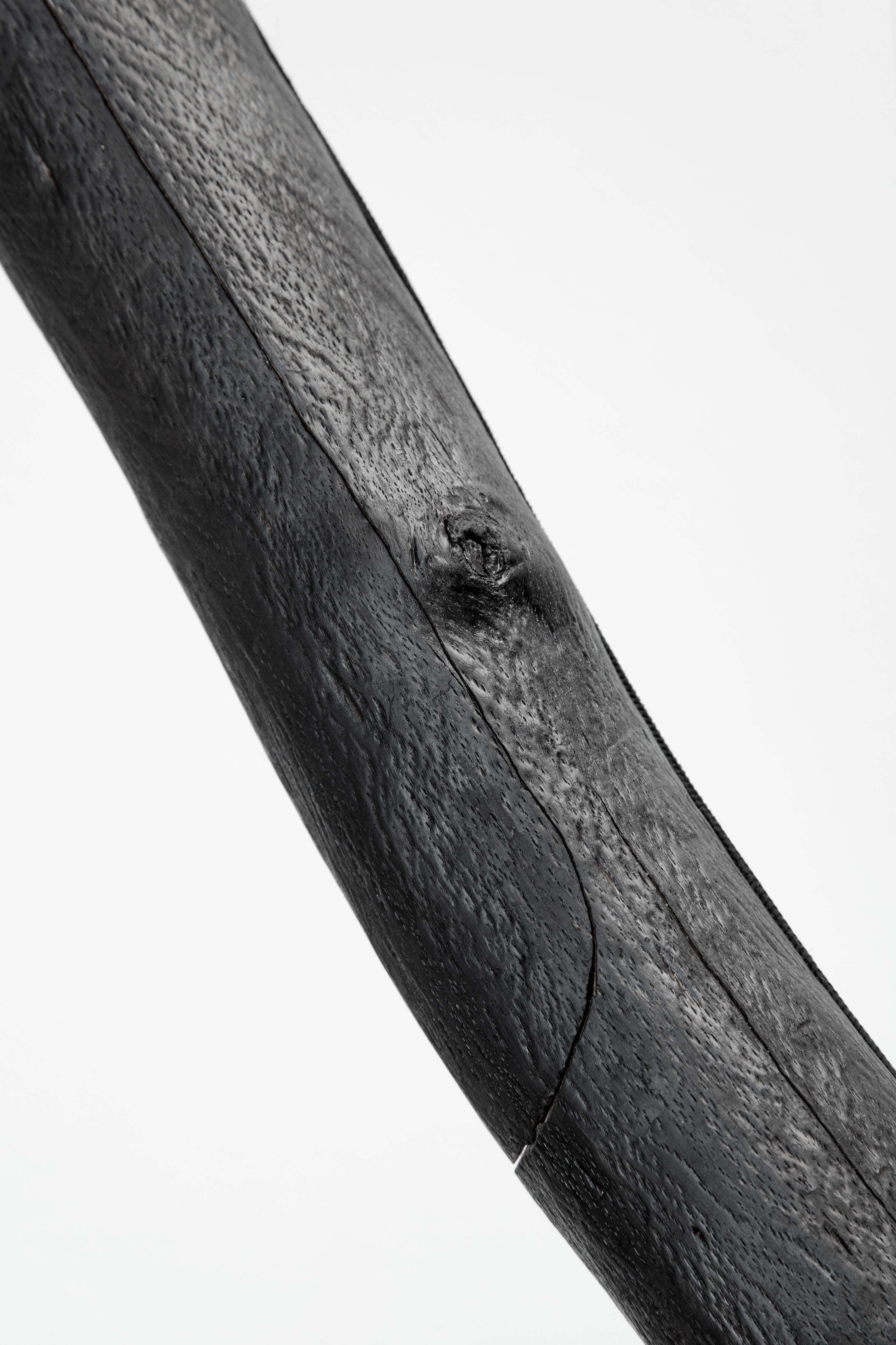 Lámpara de pie Charred Snappy Tree Friend de Marco Iannicelli en Nuevo estado para la venta en Geneve, CH