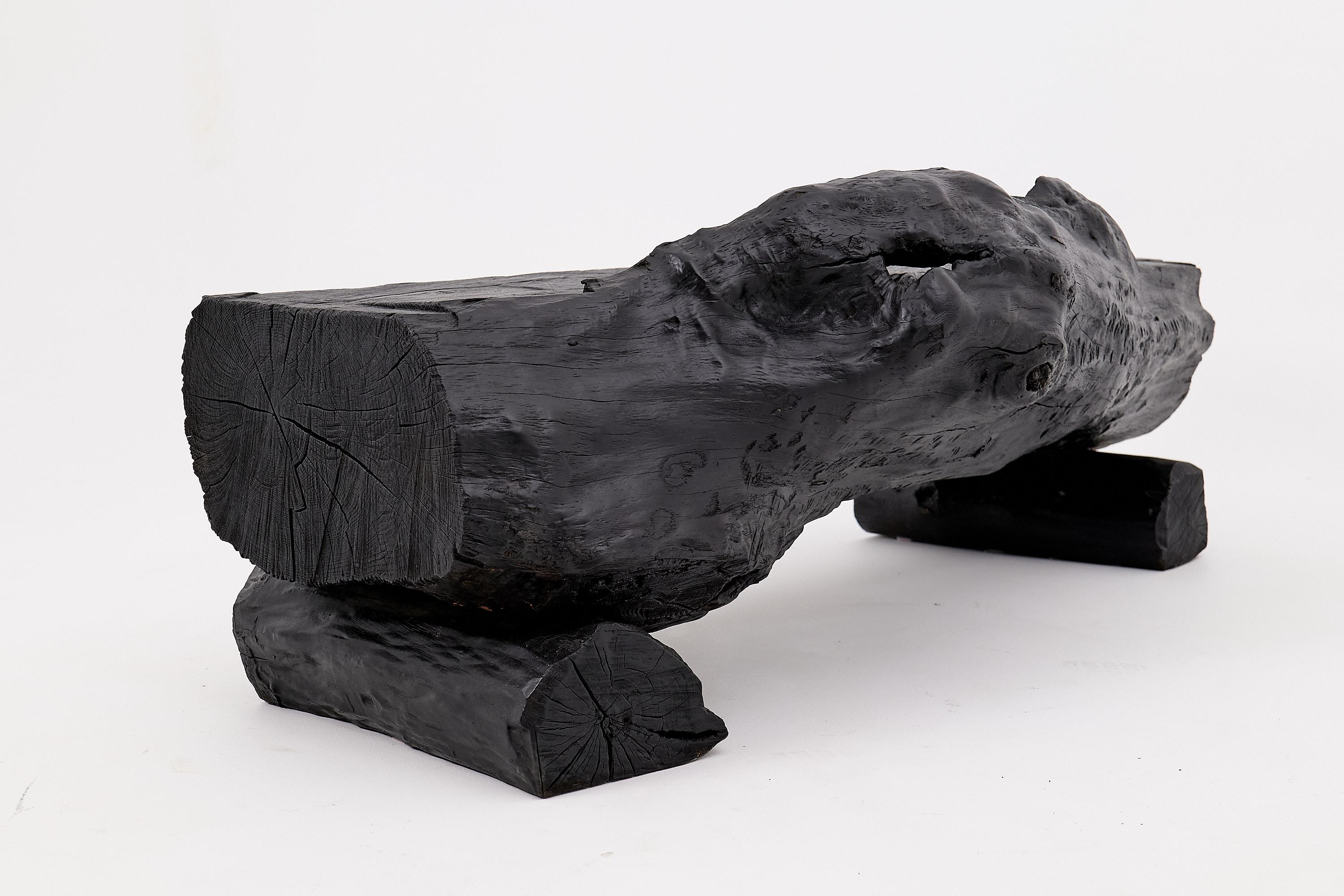 Verkohlte Massivholzbank von Logniture - Organische moderne Sitzskulptur im Angebot 2