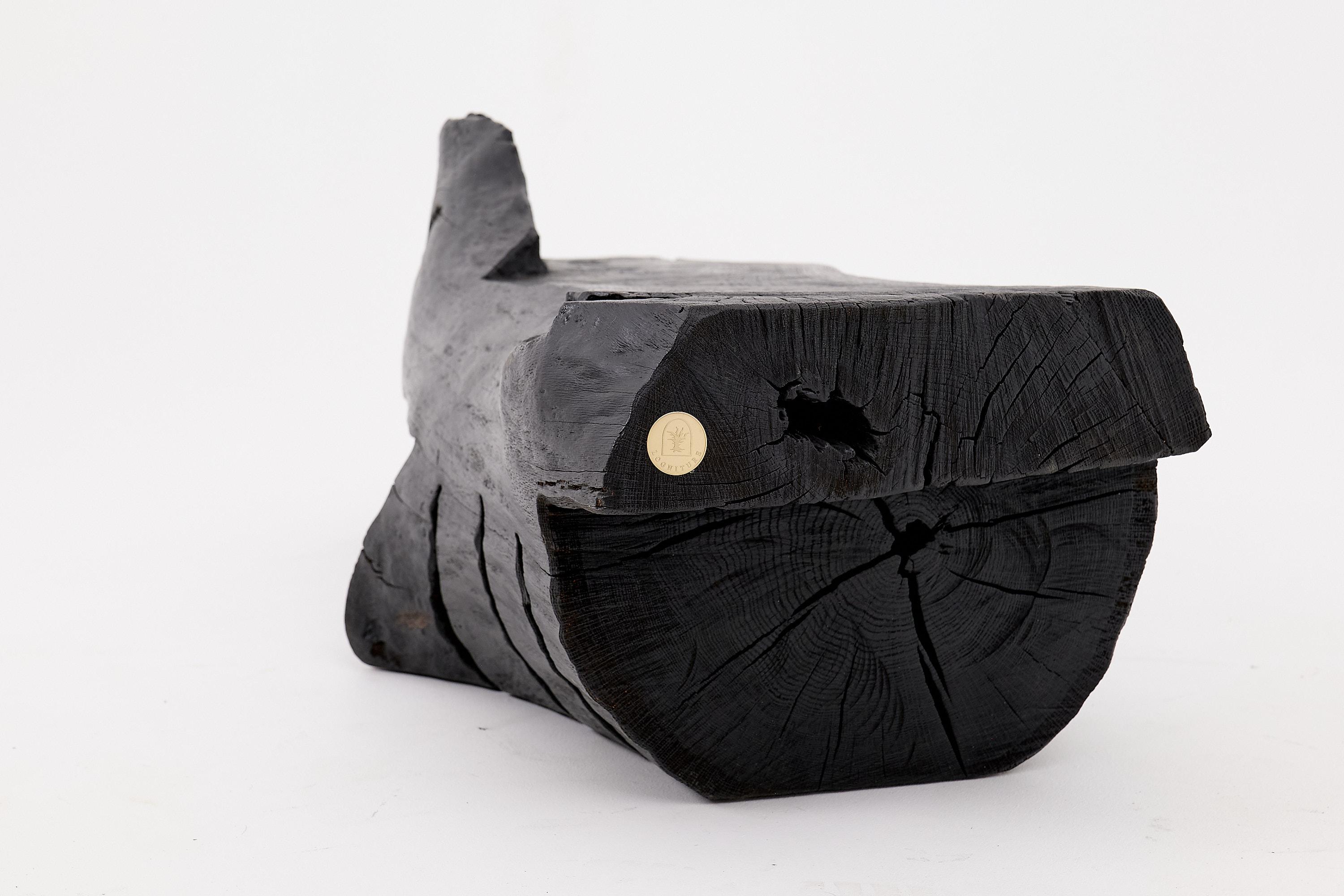 Panchina in legno massiccio carbonizzato di Logniture - Seduta scultorea moderna e organica in vendita 5
