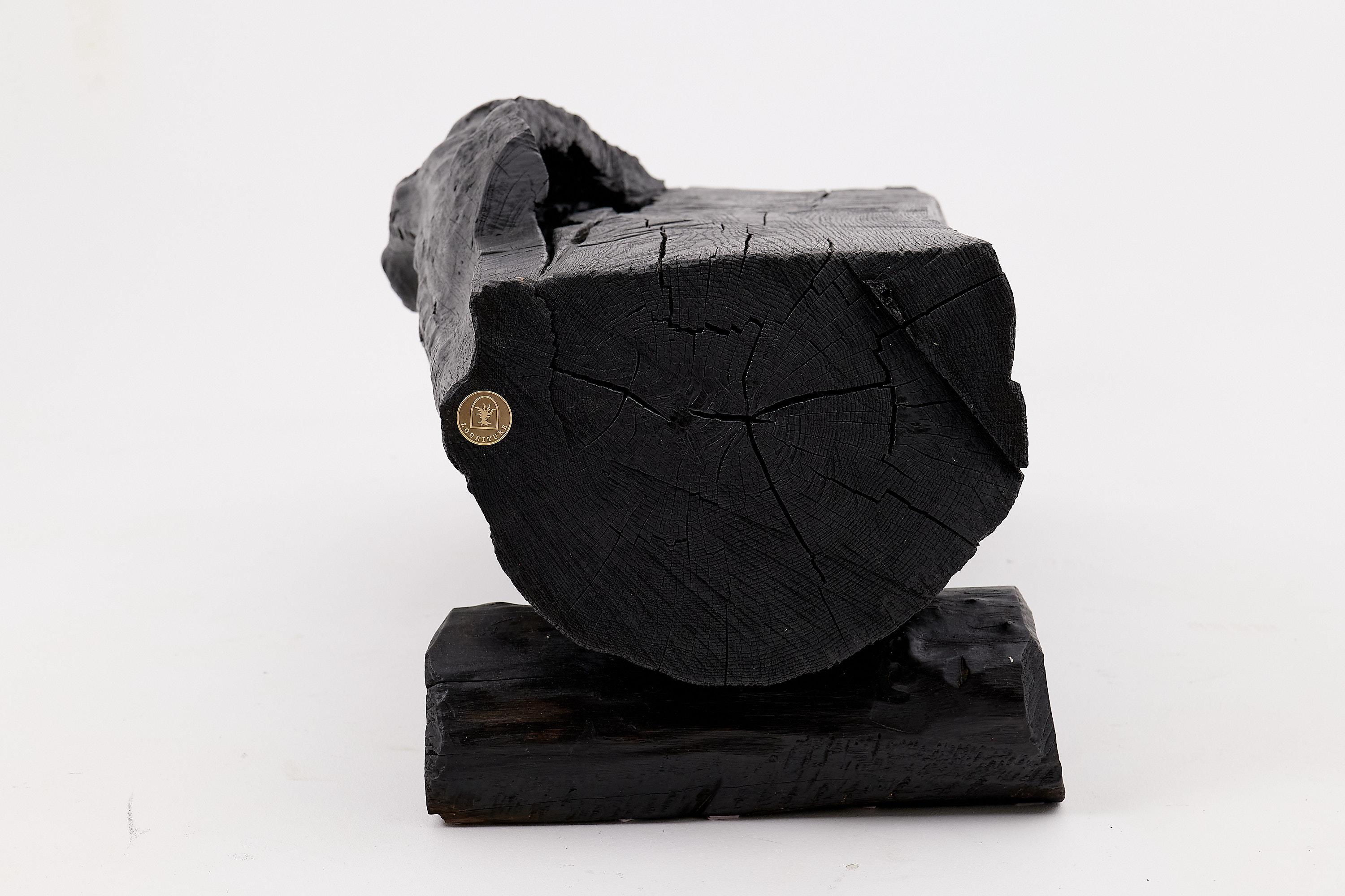 Verkohlte Massivholzbank von Logniture - Organische moderne Sitzskulptur im Angebot 7