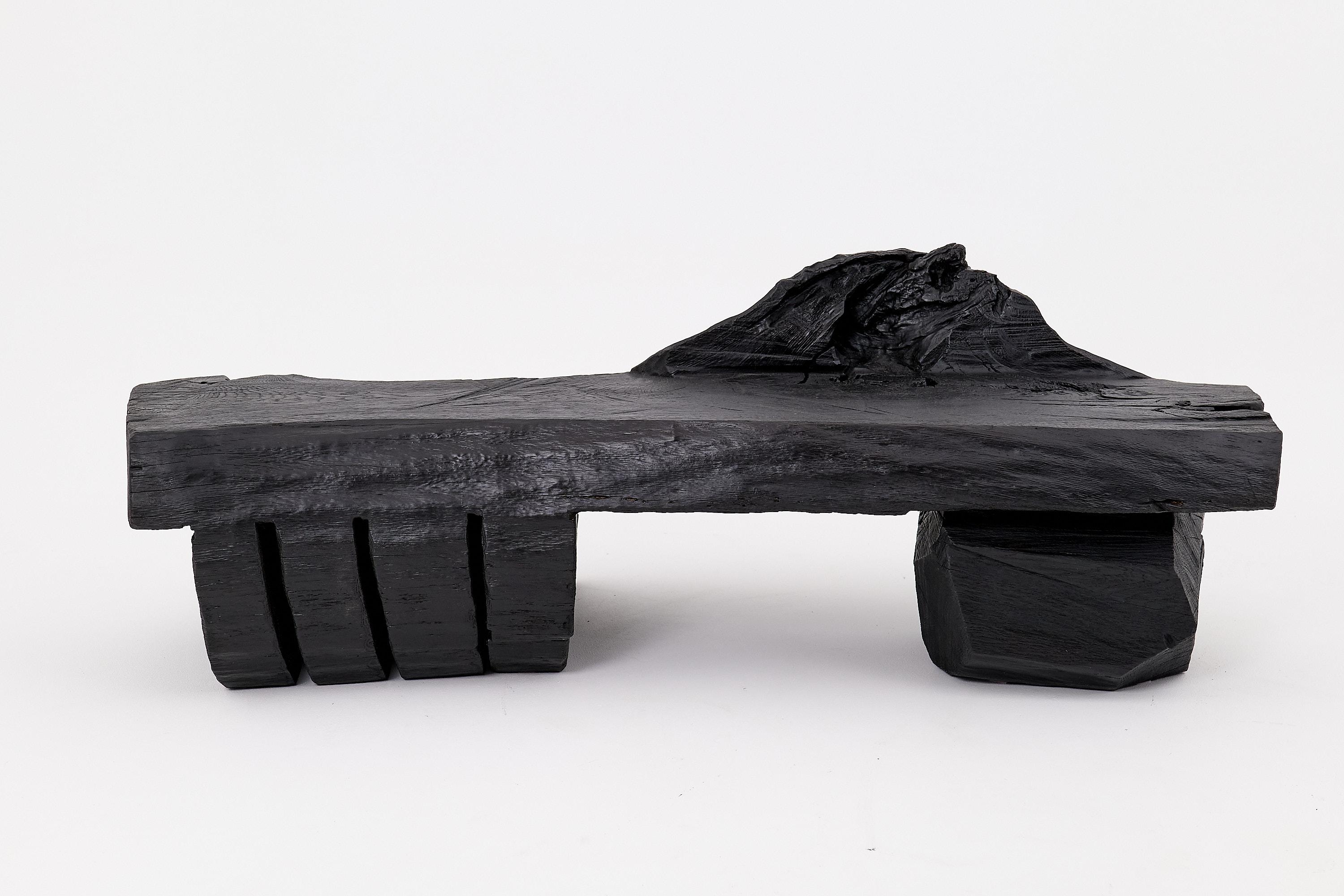 Questa panchina scultorea è un'opera d'arte funzionale unica nel suo genere, ricavata con la motosega da un tronco di legno massiccio e carbonizzata con l'antica tecnica giapponese dello shou sugi ban. La sua silhouette grezza e arcuata fonde la