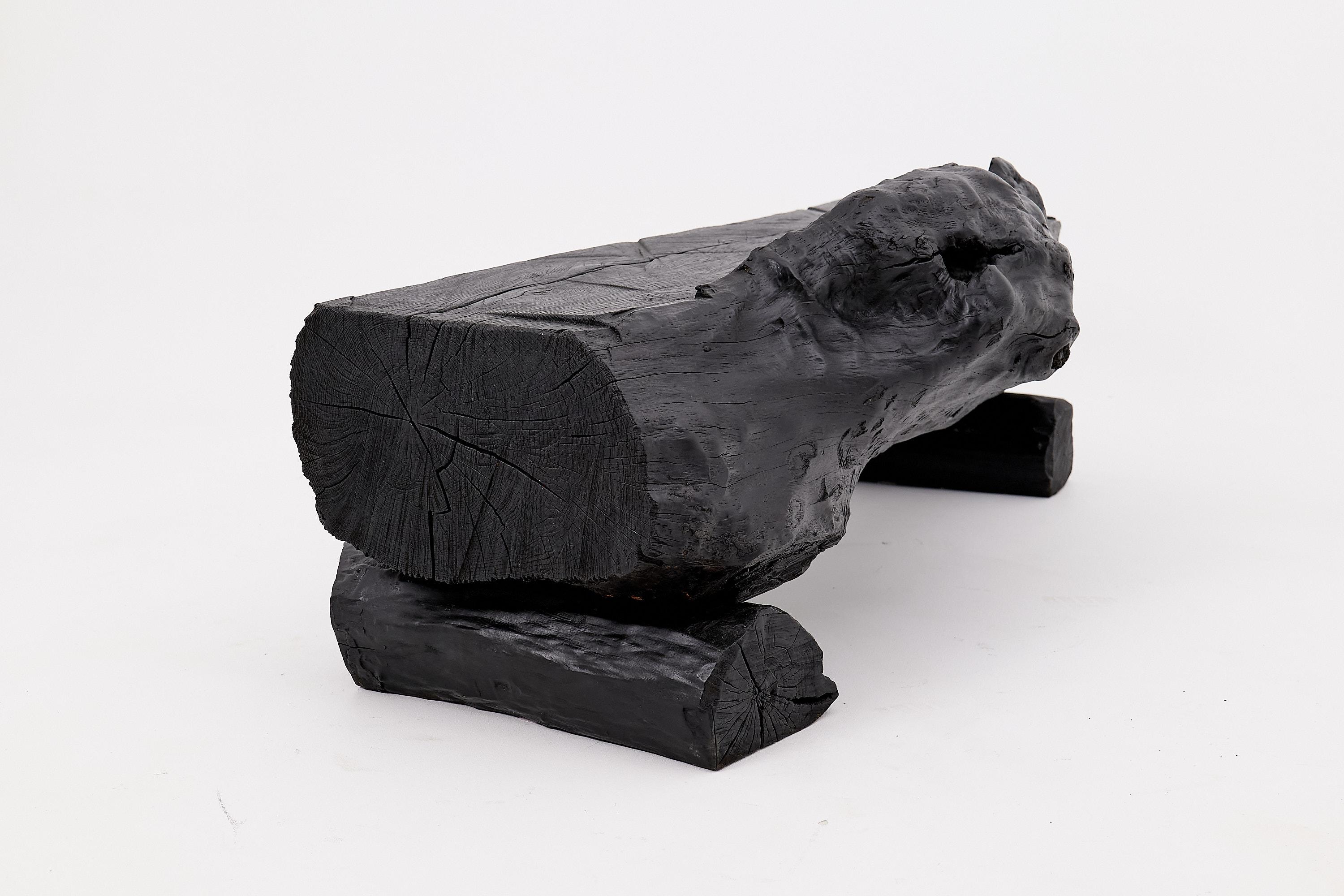Verkohlte Massivholzbank von Logniture - Organische moderne Sitzskulptur (Holz) im Angebot