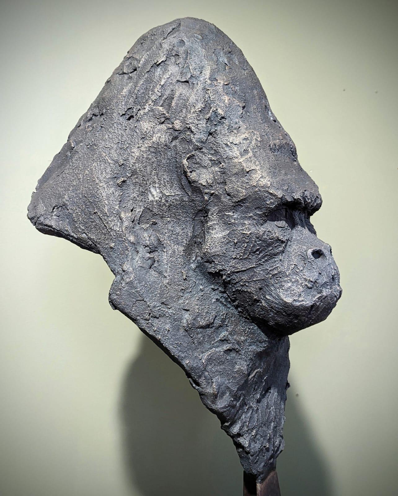   

Sébastien Chartier - Scultura contemporanea in bronzo, edizione limitata

Scopri quest'opera eccezionale di Sébastien Chartier, un bronzo figurativo contemporaneo, realizzato con maestria ed emozione.

Raffigurando un gorilla, questa scultura