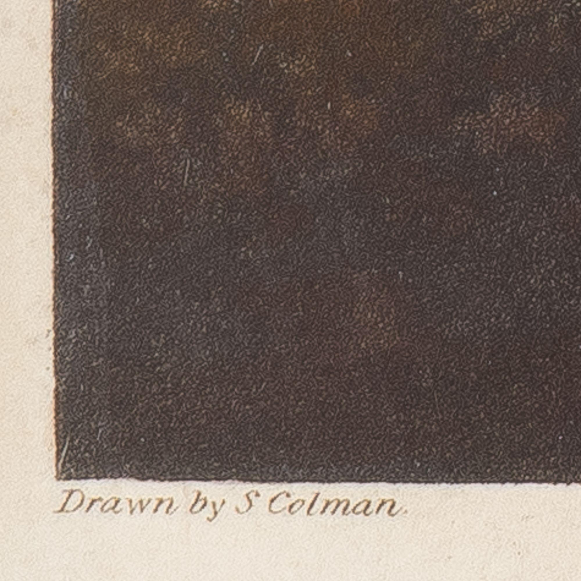 Early 19th Century Charvolents Travelling In Various Directions With the Same Wind by Colman, 1827 For Sale
