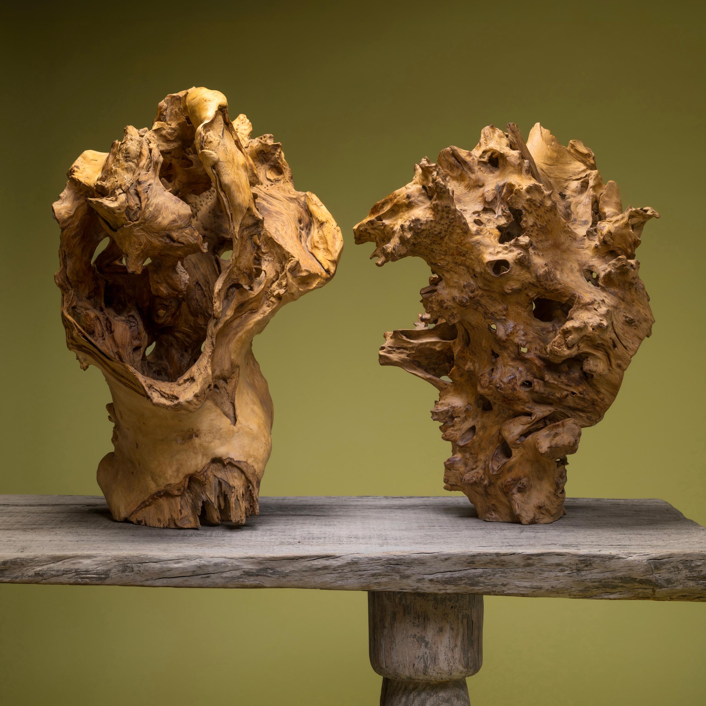 A striking silhouette elevates this gnarled rootwood object into an incredible natural sculpture. The organic root form recalls the tradition of Chinese scholars' rocks, or gongshi, unusual stone formations displayed as sources of beauty and