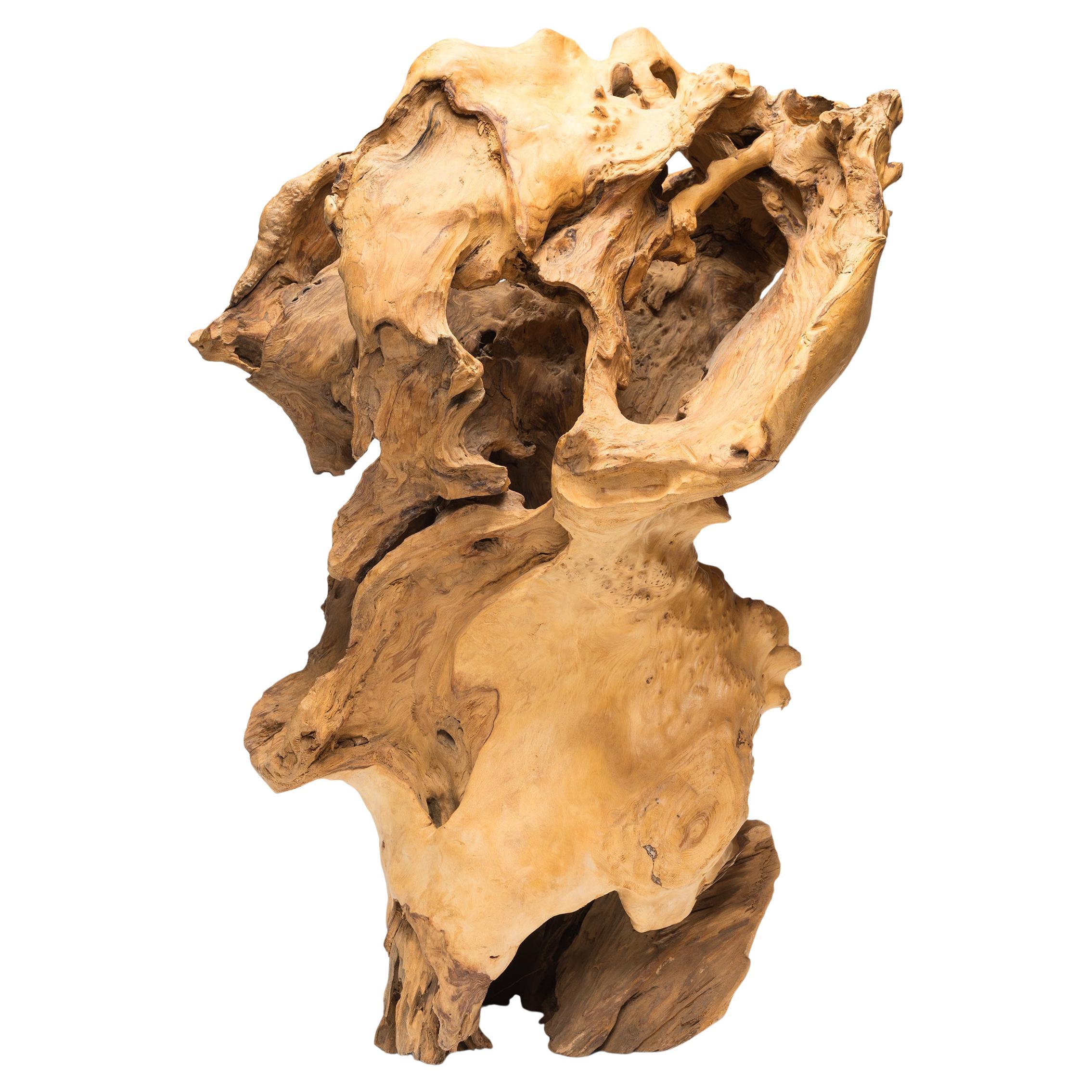 "Chasm" Root Sculpture