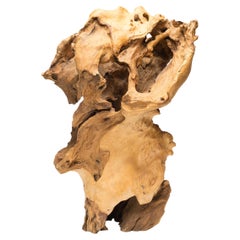 "Chasm" Root Sculpture