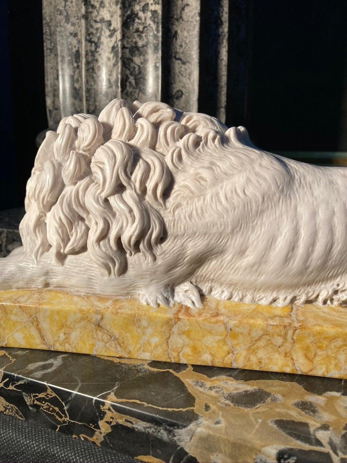 Chatsworth Marble Sculptured Lions on Sienna, 20th Century 

The Chatsworth Lions, a pair.

A finely finished pair of the famous lions, in polished Carrara marble and set upon Sienna bases. The famous marble Lions were originally made by the