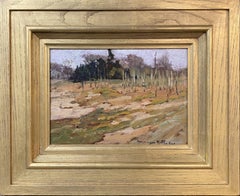 Landschaft in Souhegan Valley, NH, wahrscheinlich Wilton