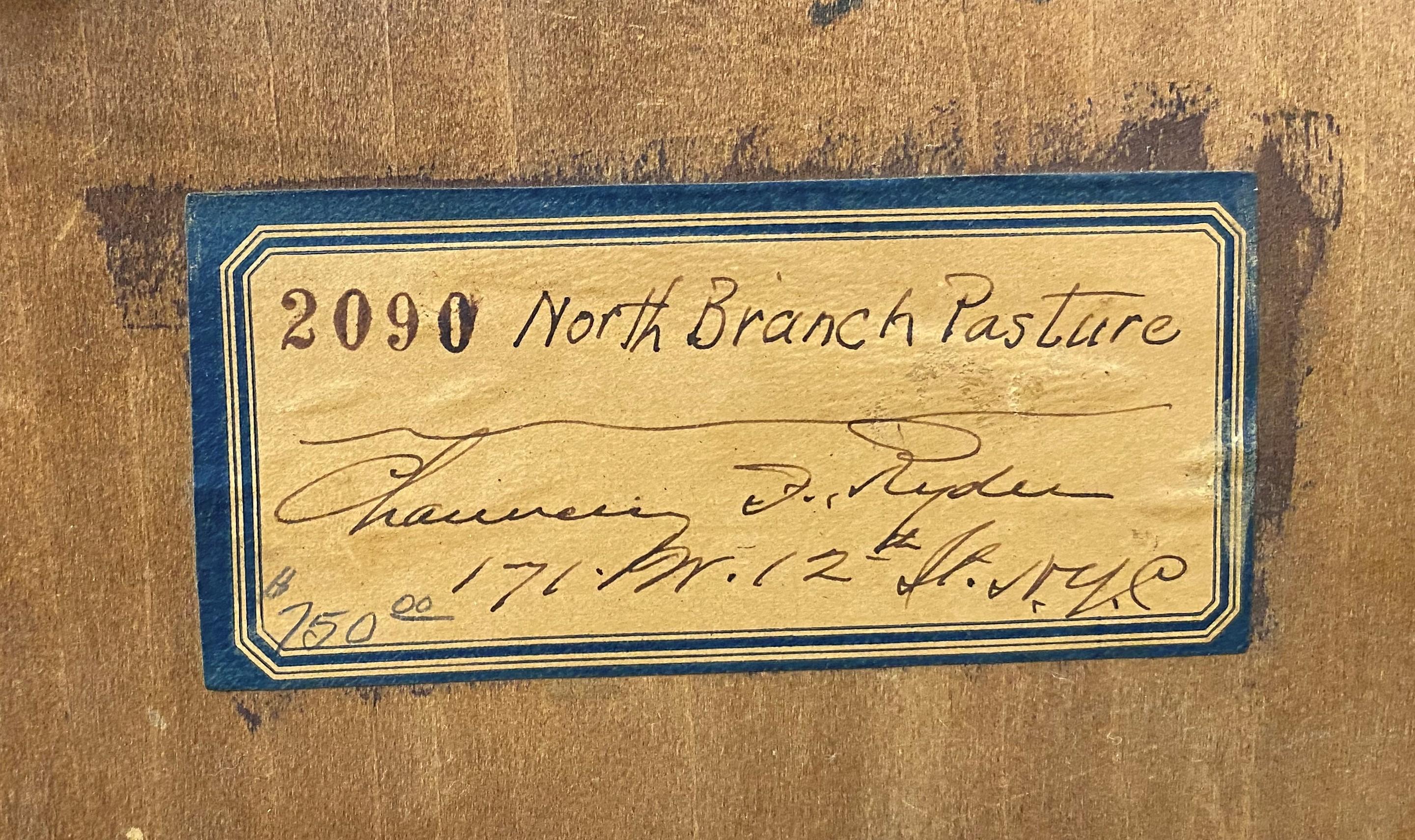 Pascolo del Ramo Nord 5