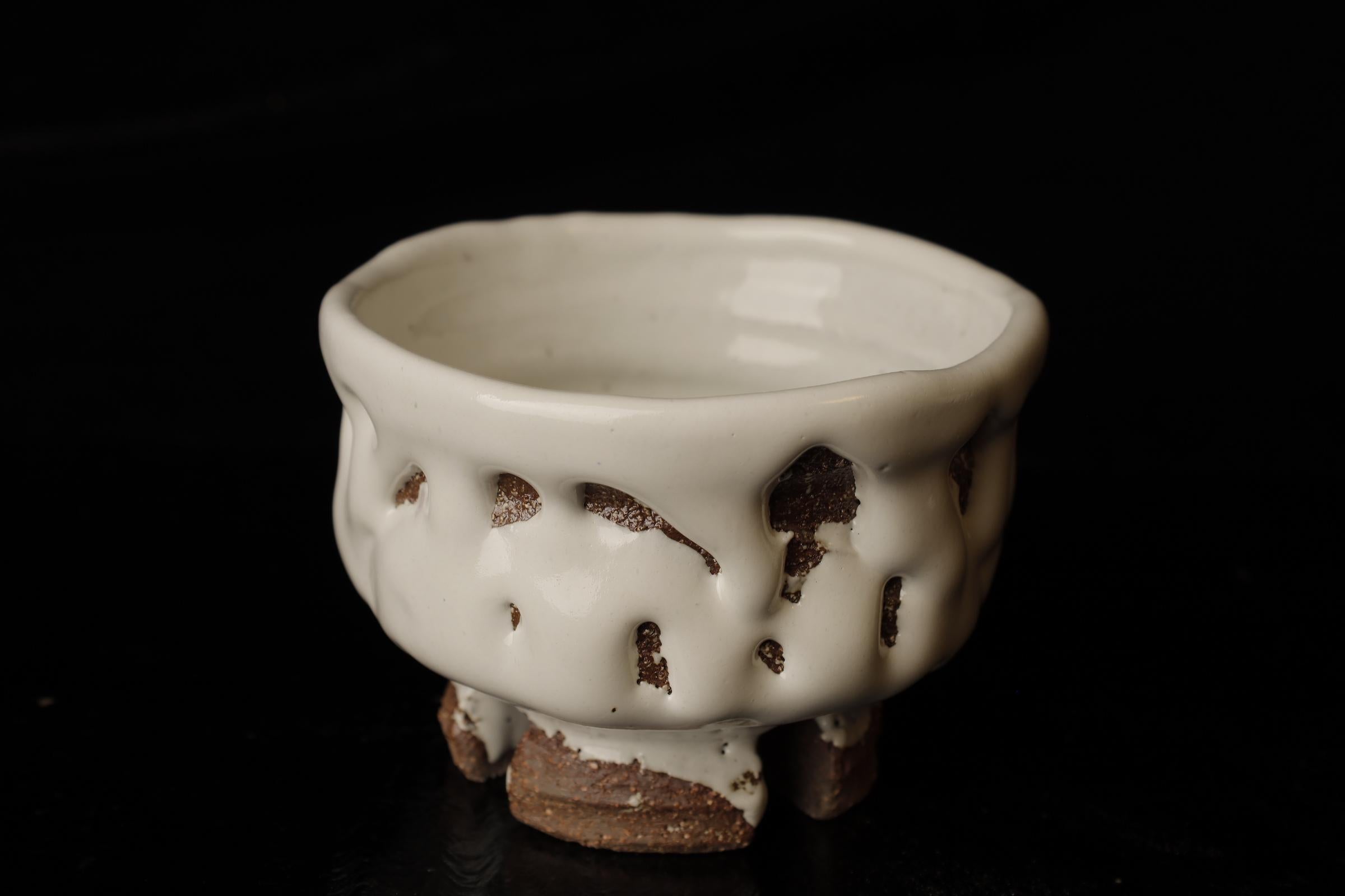 Chawan (ciotola da tè) del famoso artista contemporaneo di Hagi Seigan Yamane in vendita 3