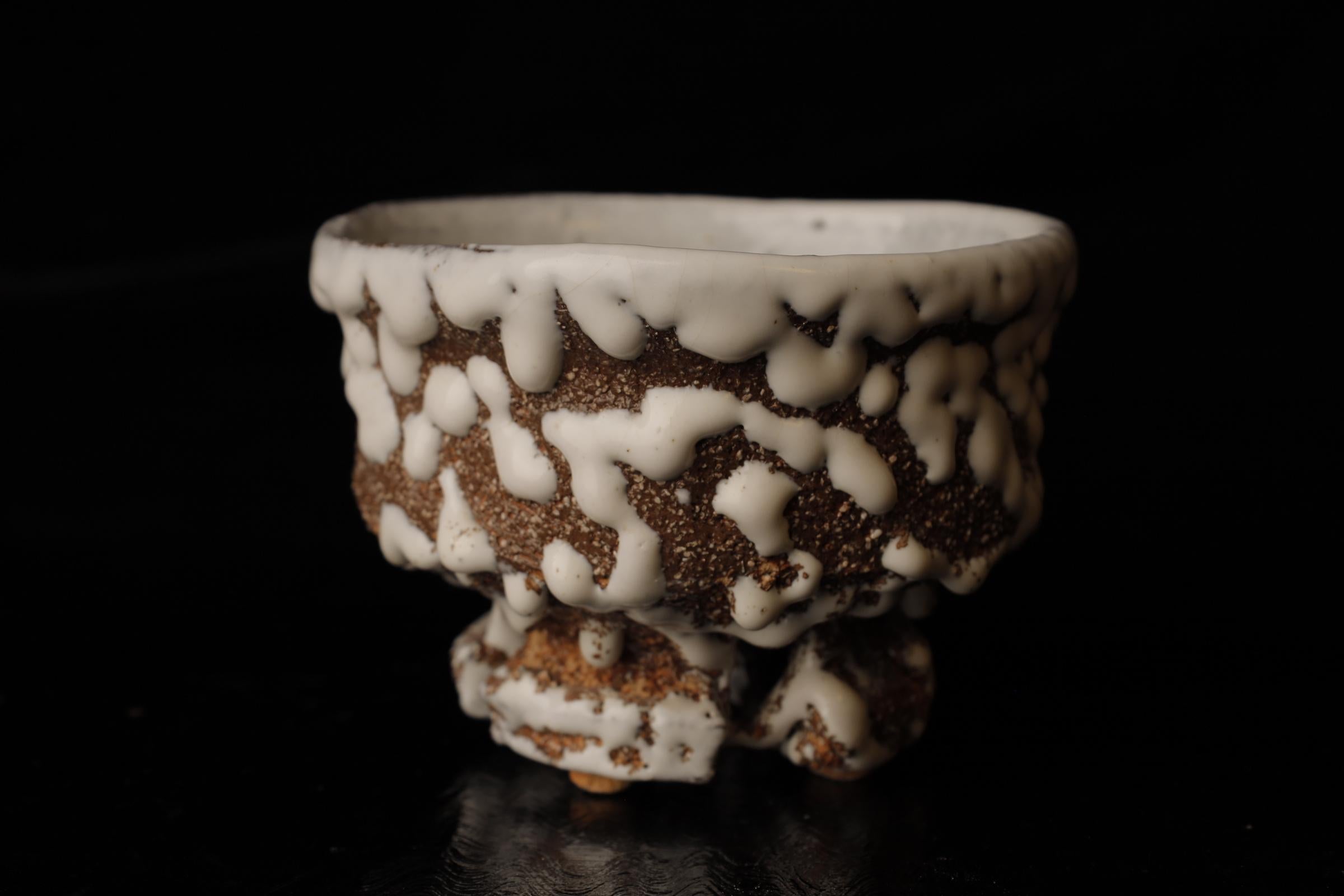 Chawan (cuenco de té) del famoso artista contemporáneo de Hagi Seigan Yamane en venta 4
