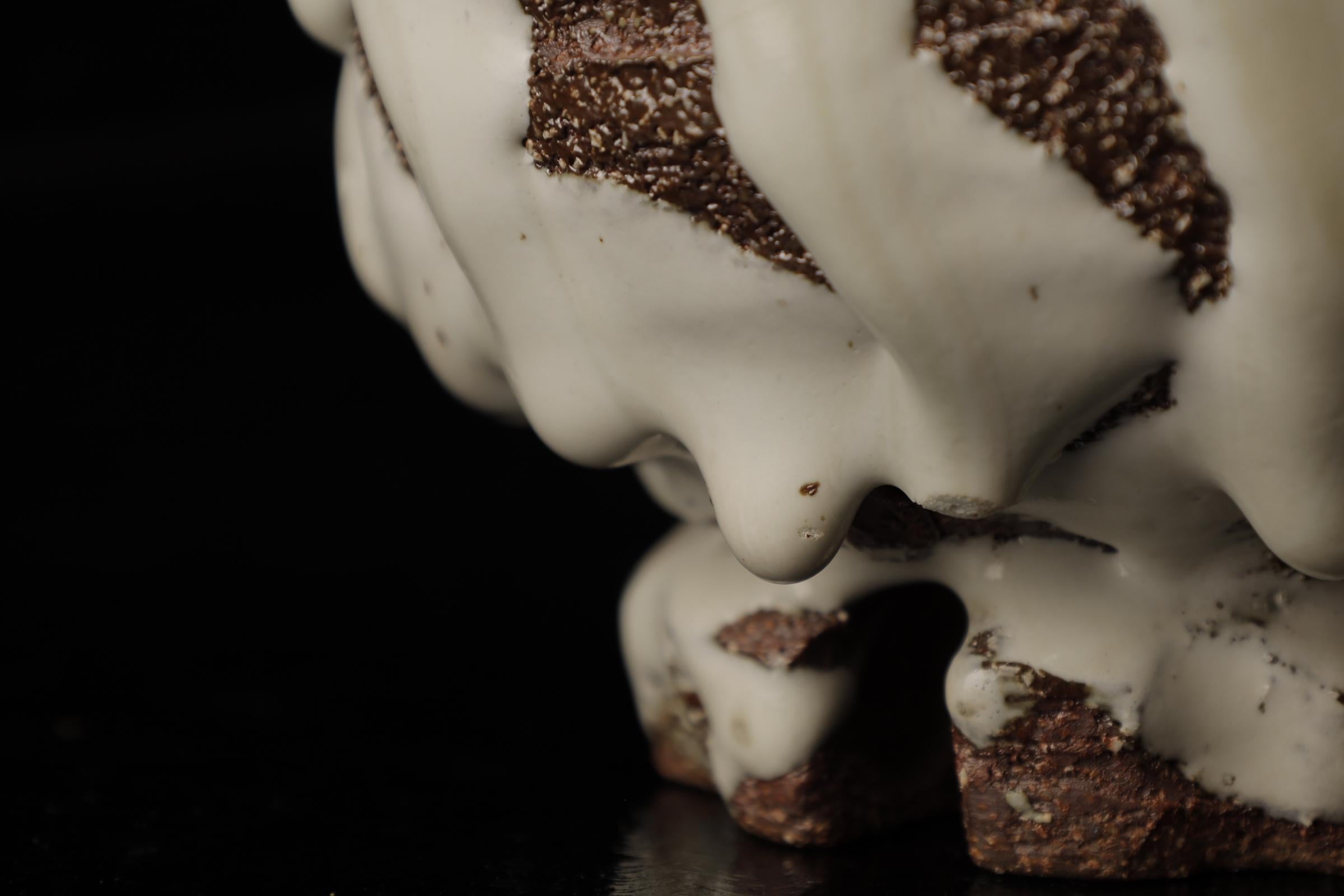 Chawan (ciotola da tè) del famoso artista contemporaneo di Hagi Seigan Yamane in vendita 4