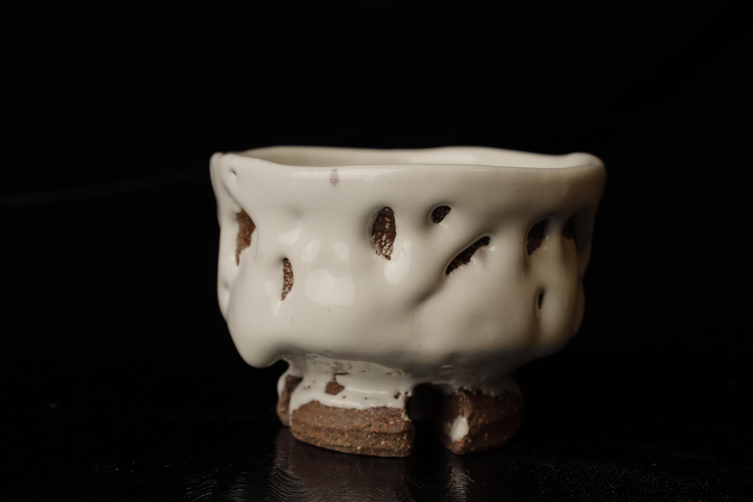 Chawan (ciotola da tè) del famoso artista contemporaneo di Hagi Seigan Yamane in vendita 4