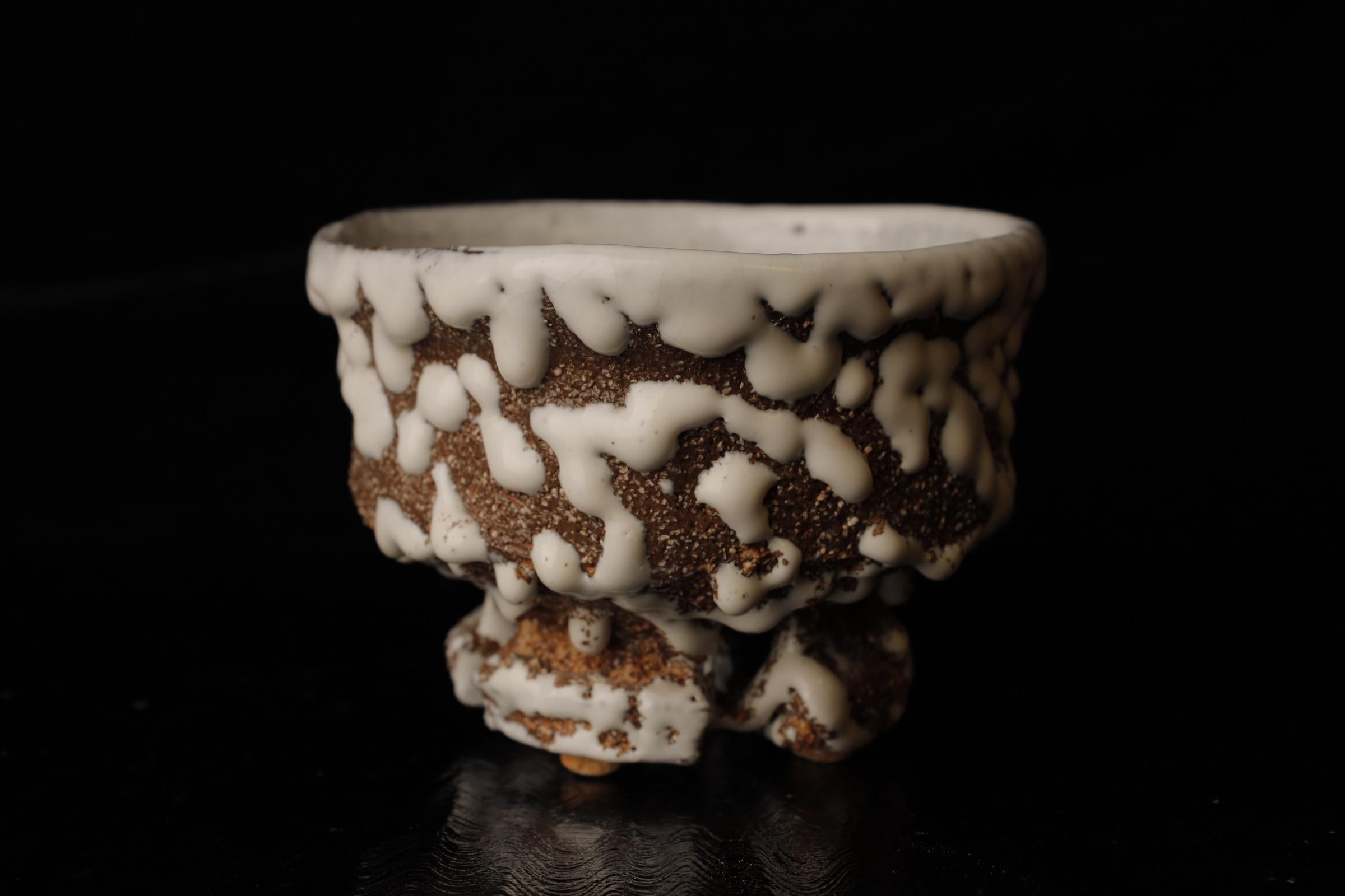 Chawan (cuenco de té) del famoso artista contemporáneo de Hagi Seigan Yamane en venta 5