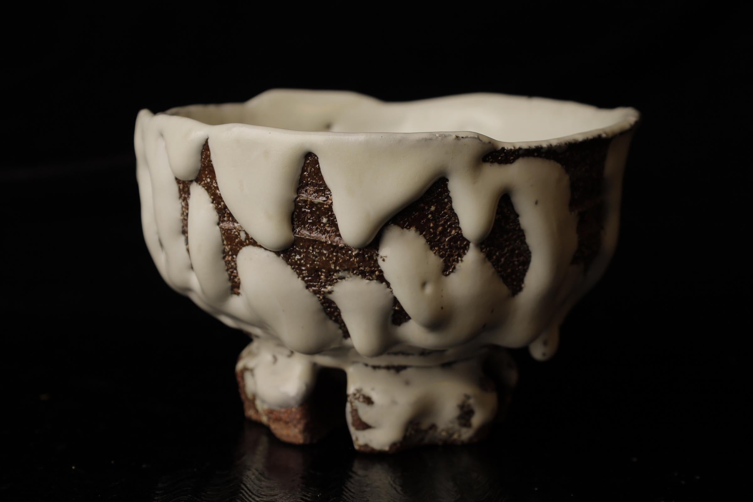 Chawan (ciotola da tè) del famoso artista contemporaneo di Hagi Seigan Yamane in vendita 5