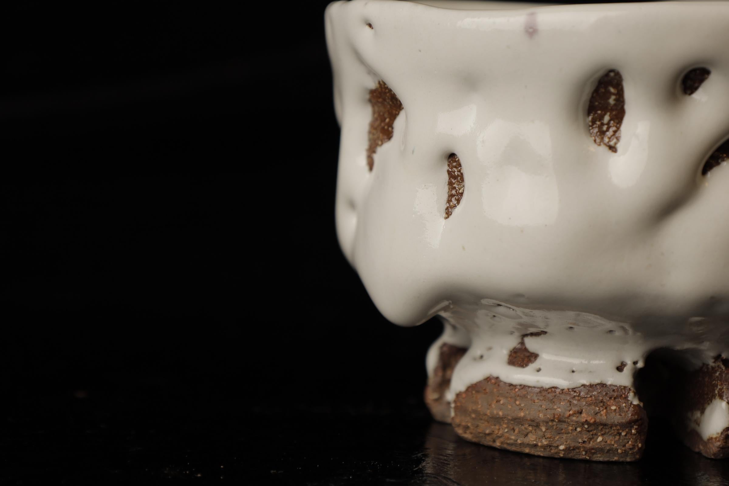Chawan (ciotola da tè) del famoso artista contemporaneo di Hagi Seigan Yamane in vendita 5