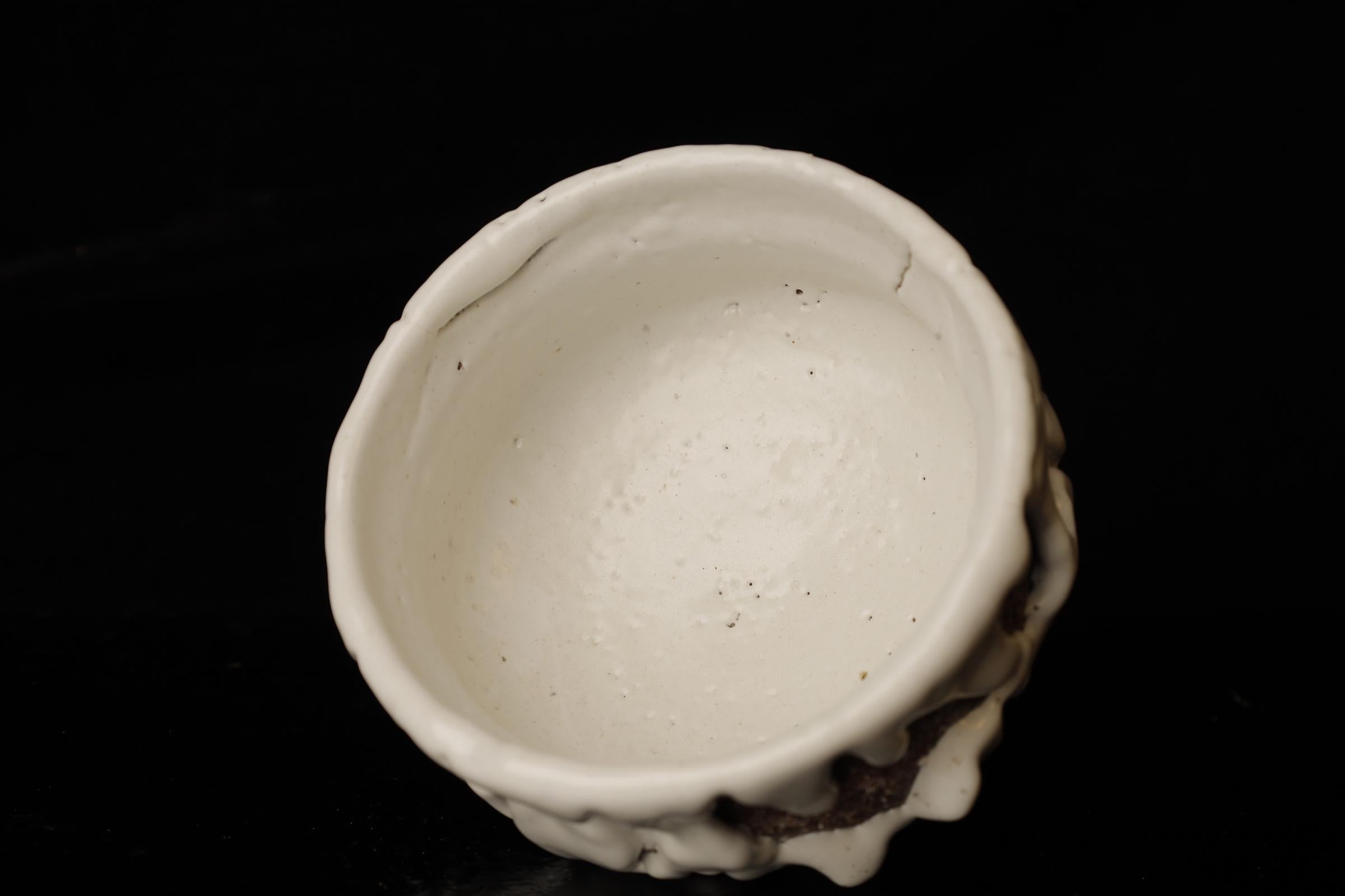 Chawan (tea bowl) by famous Hagi contemporary artist Seigan Yamane For Sale 9
