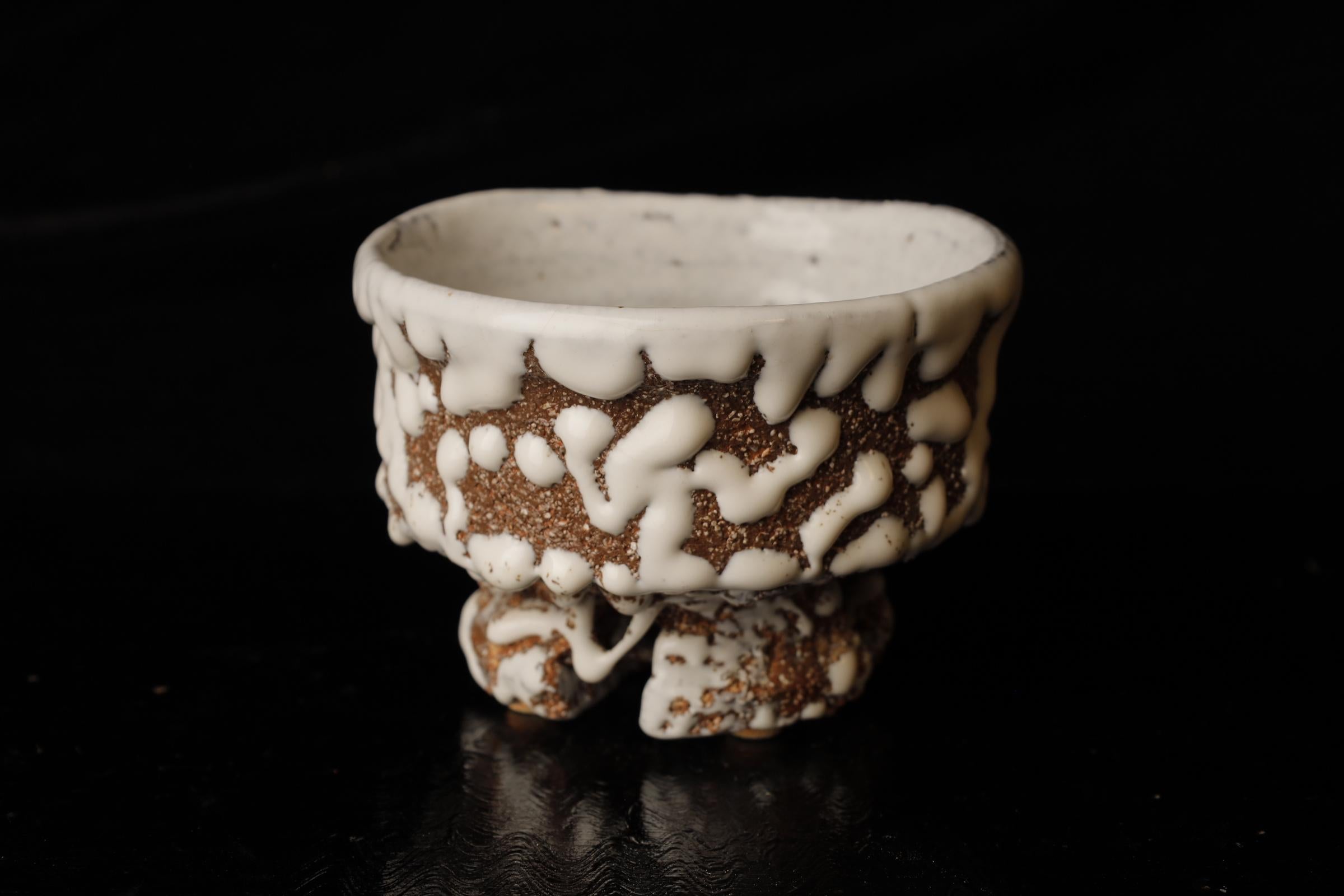 Chawan (cuenco de té) del famoso artista contemporáneo de Hagi Seigan Yamane Japonés en venta