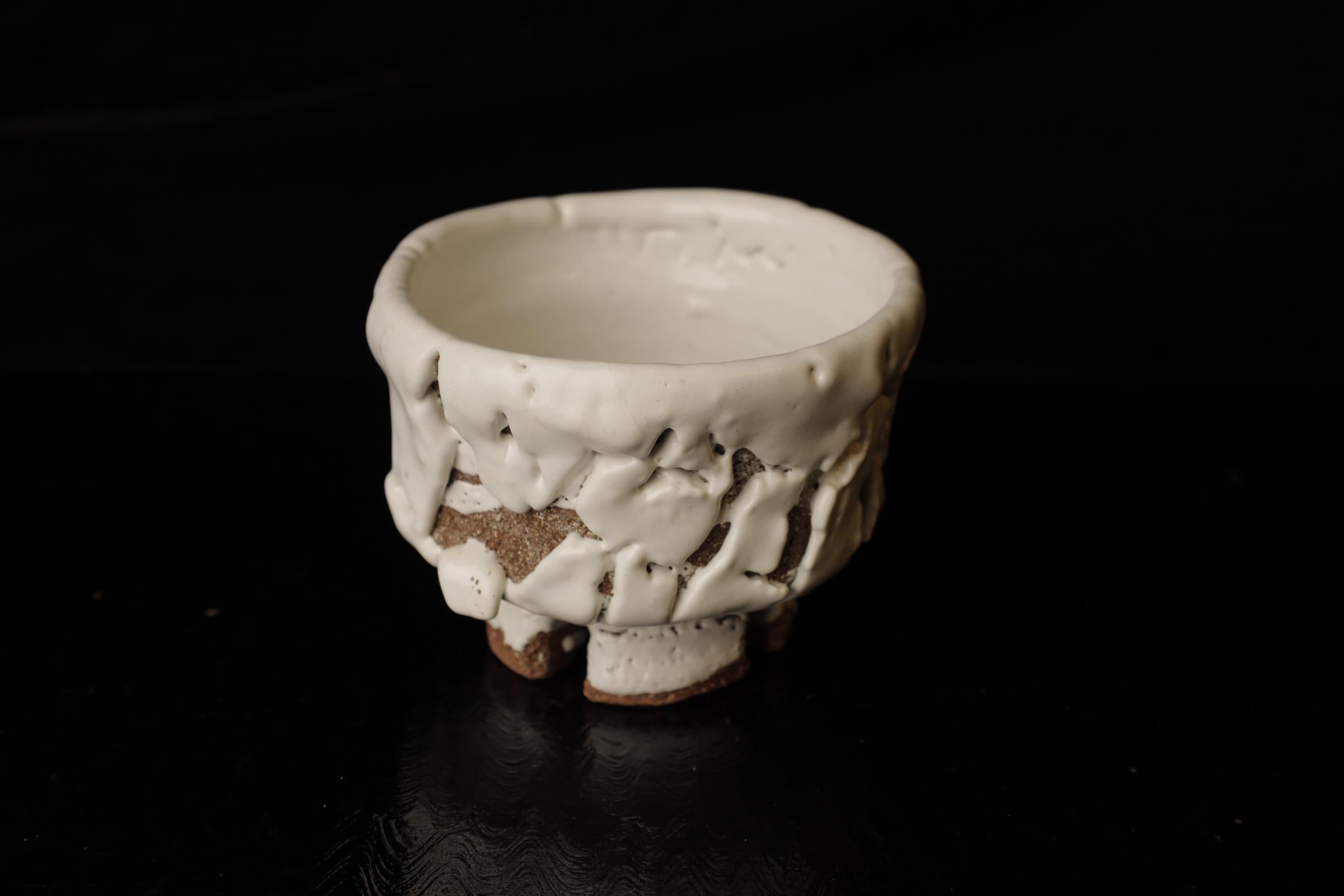 Giapponese Chawan (ciotola da tè) del famoso artista contemporaneo di Hagi Seigan Yamane in vendita
