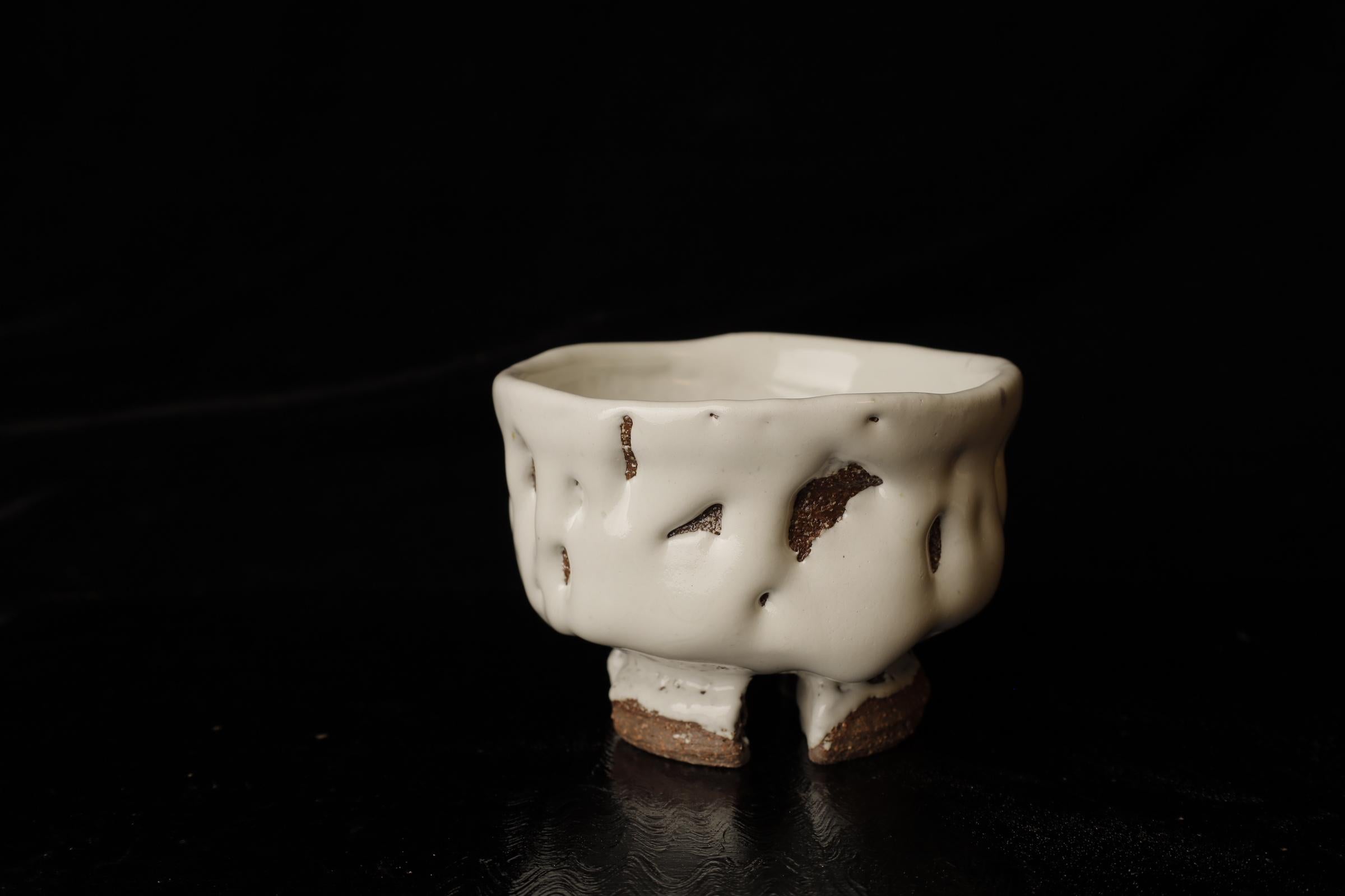 Giapponese Chawan (ciotola da tè) del famoso artista contemporaneo di Hagi Seigan Yamane in vendita