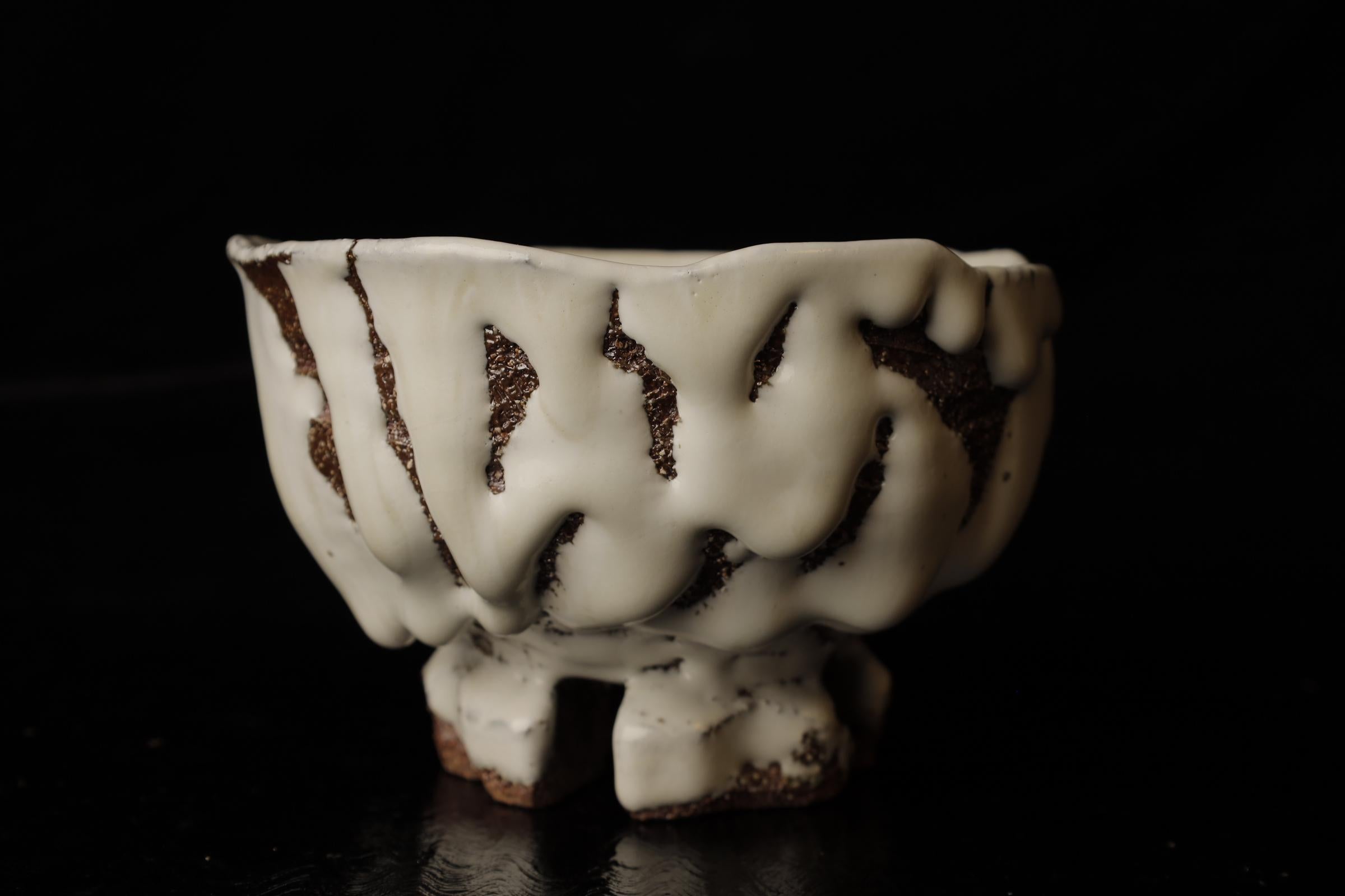Chawan (ciotola da tè) del famoso artista contemporaneo di Hagi Seigan Yamane In condizioni ottime in vendita a Fukuoka, JP