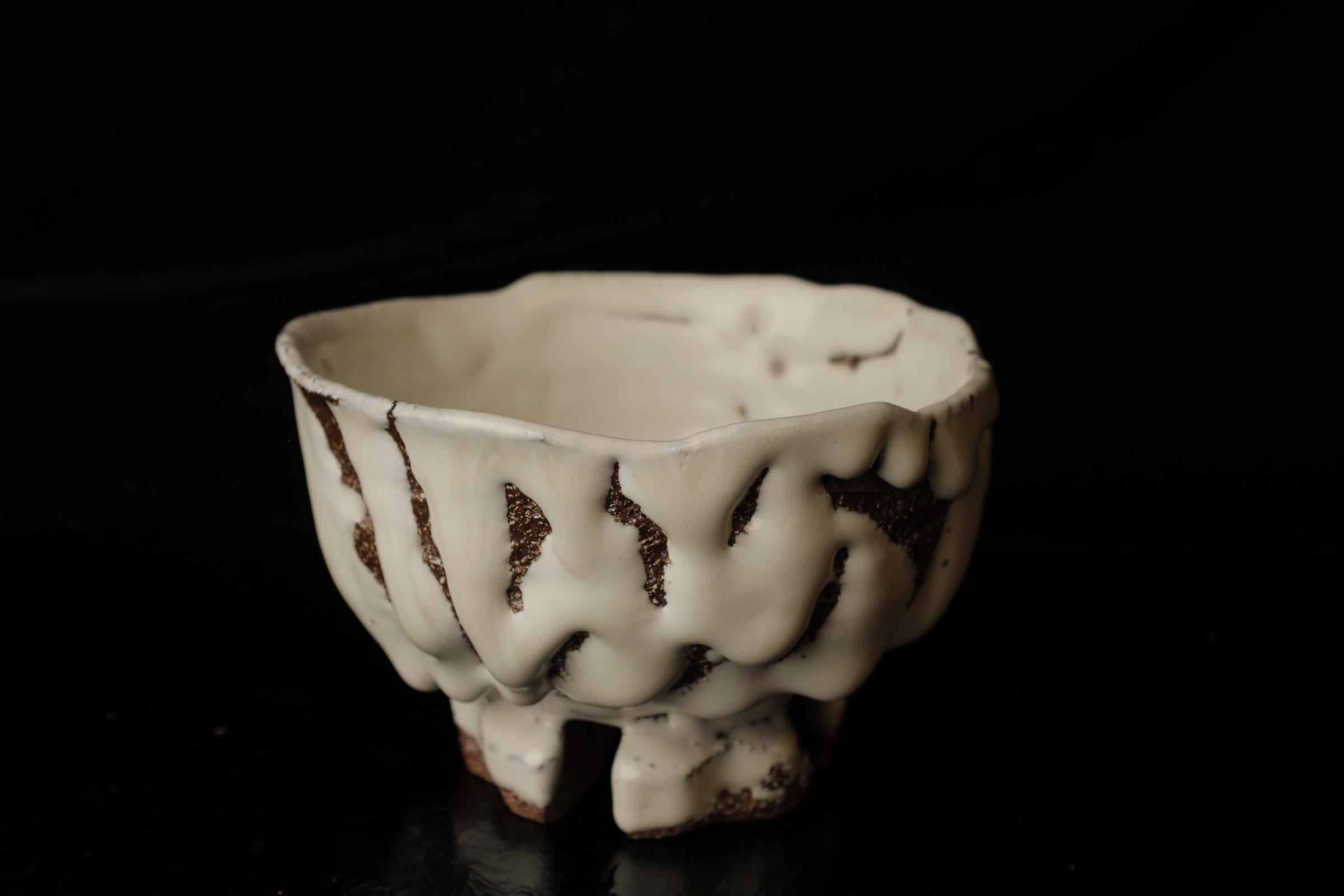 XXI secolo e contemporaneo Chawan (ciotola da tè) del famoso artista contemporaneo di Hagi Seigan Yamane in vendita