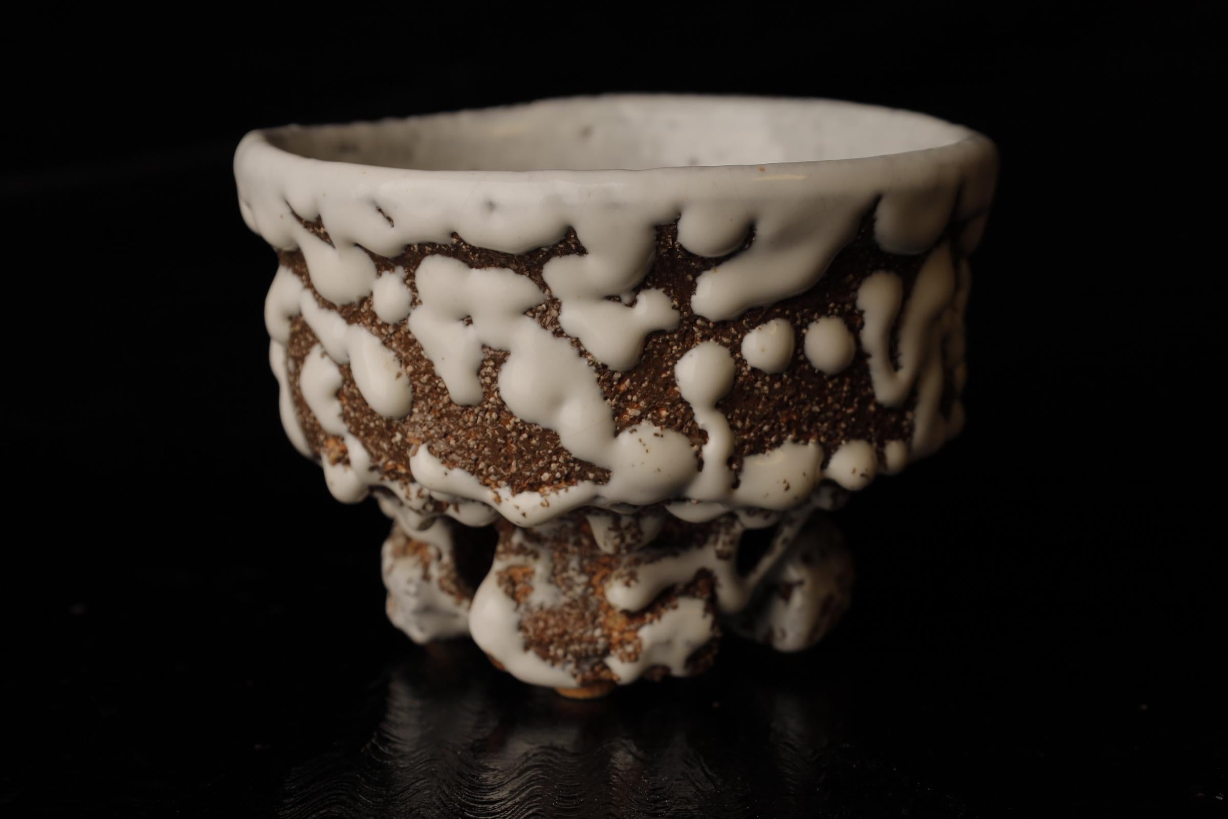 Chawan (cuenco de té) del famoso artista contemporáneo de Hagi Seigan Yamane en venta 1