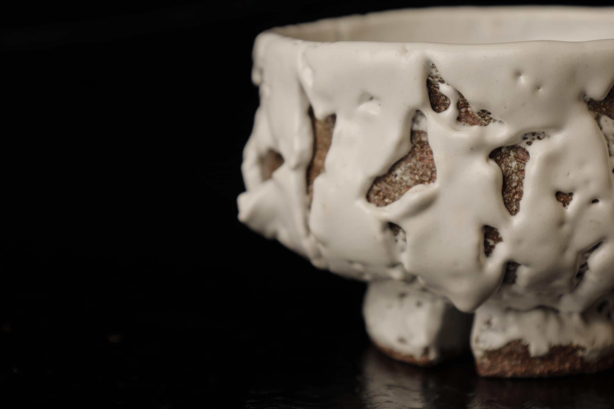 Chawan (tea bowl) by famous Hagi contemporary artist Seigan Yamane For Sale 1