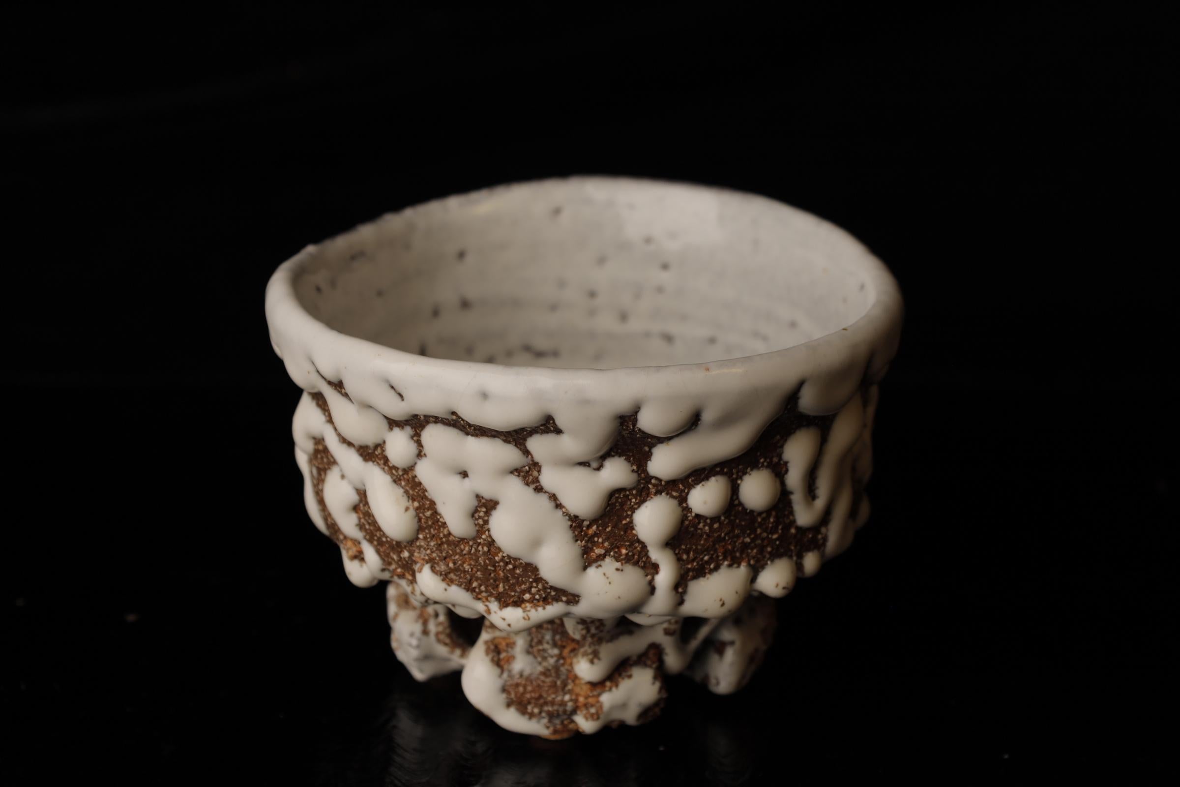 Chawan (cuenco de té) del famoso artista contemporáneo de Hagi Seigan Yamane en venta 2