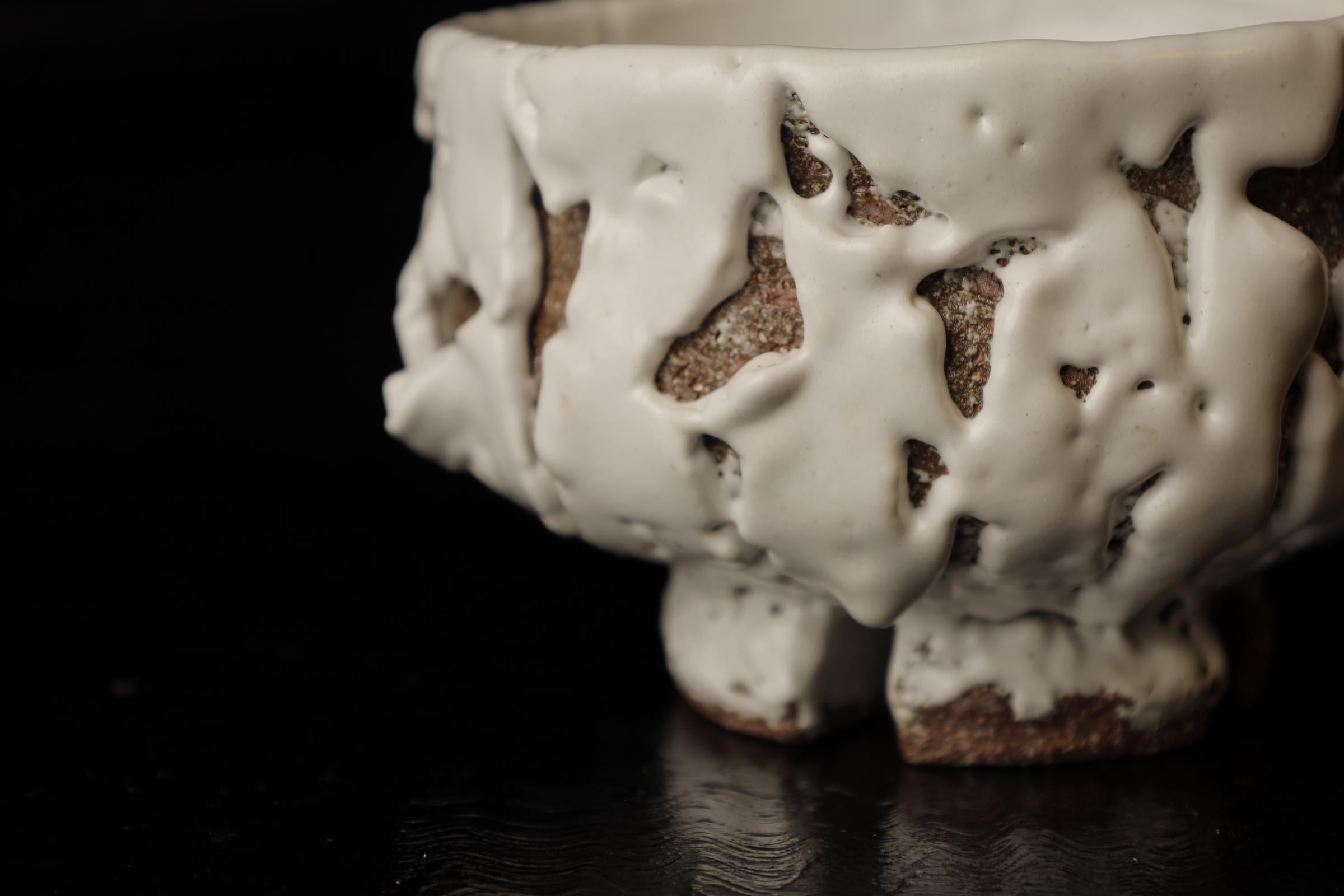 Chawan (tea bowl) by famous Hagi contemporary artist Seigan Yamane For Sale 2