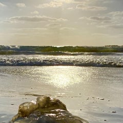 Chaya Vance, Jellyfish at Mediterranean Dusk, 2020 c-print on D-sec 60x80 cm