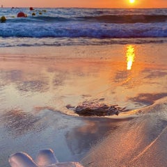 Chaya Vance, Jellyfish at Mediterranean Sunset, 2020 c-print on D-sec 60x80 cm