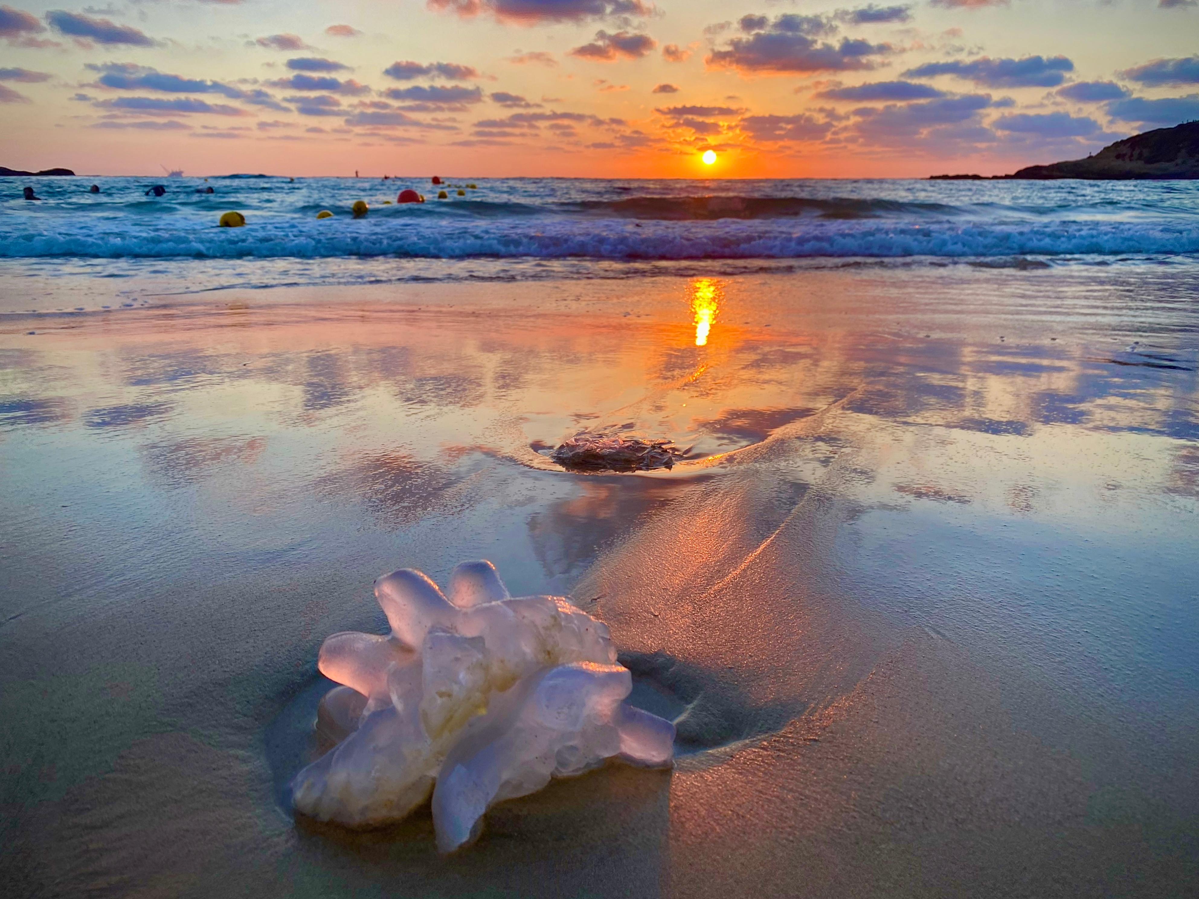 Chaya Vance, Jellyfish at Mediterranean Sunset, 2020 c-print on D-sec 60x80 cm