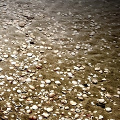 Chaya Vance, Jellyfish on Mediterranean Sand, 2020 c-print on D-sec 80x60 cm