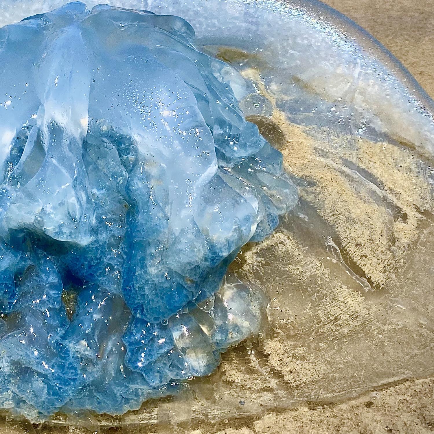 Chaya Vance, Jellyfish on the Mediterranean, 2020 c-print on D-sec 60x80 cm For Sale 3