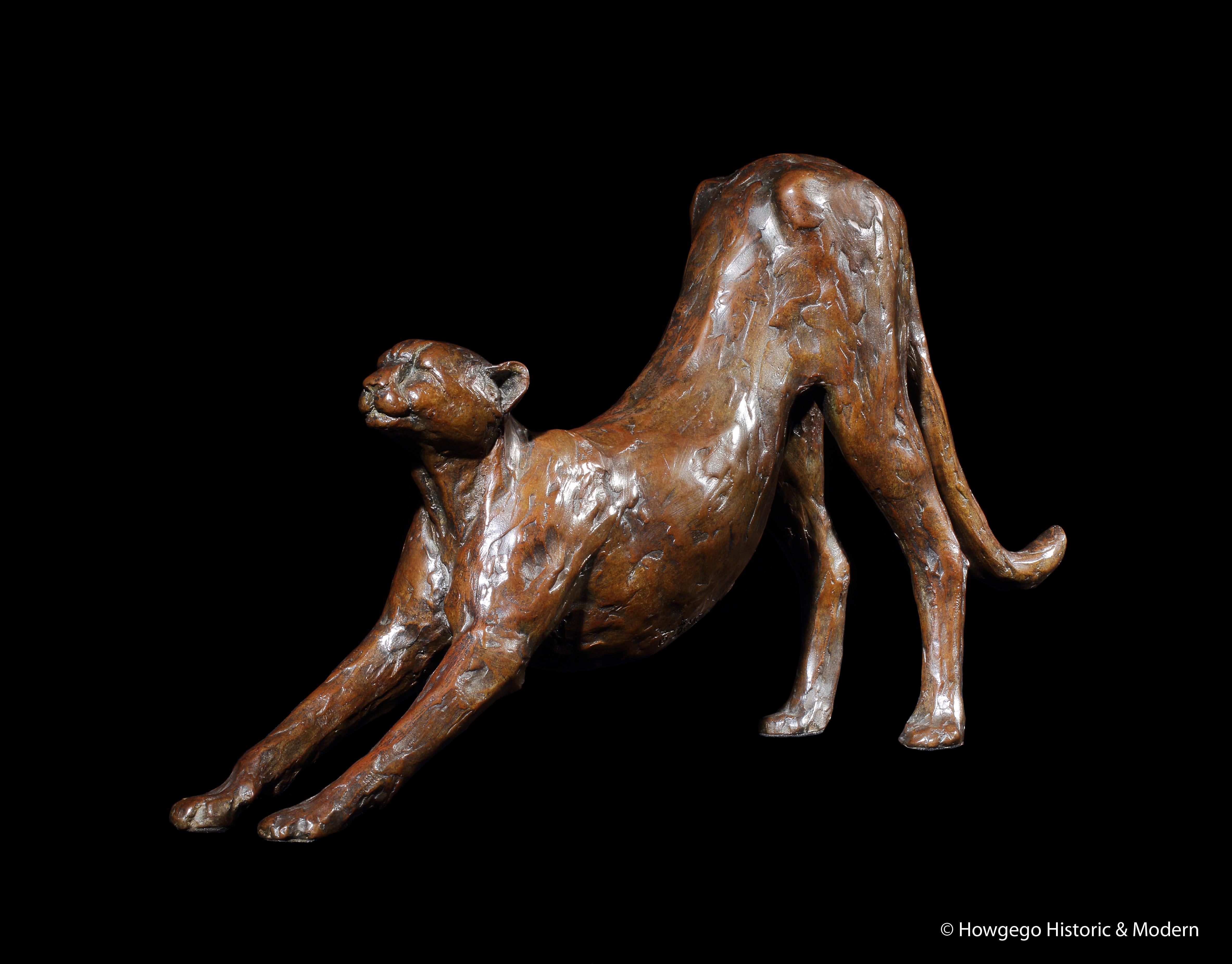 Bronze study of a stretching cheetah.
RHS under the belly bearing Ingwe Foundry stamp, ‘S31’ or ‘S3I’, Edition 3/15, monogram BMR.
Artist unknown.
I have been unsuccessfully resarching who the artist could be.

The stretching pose of the