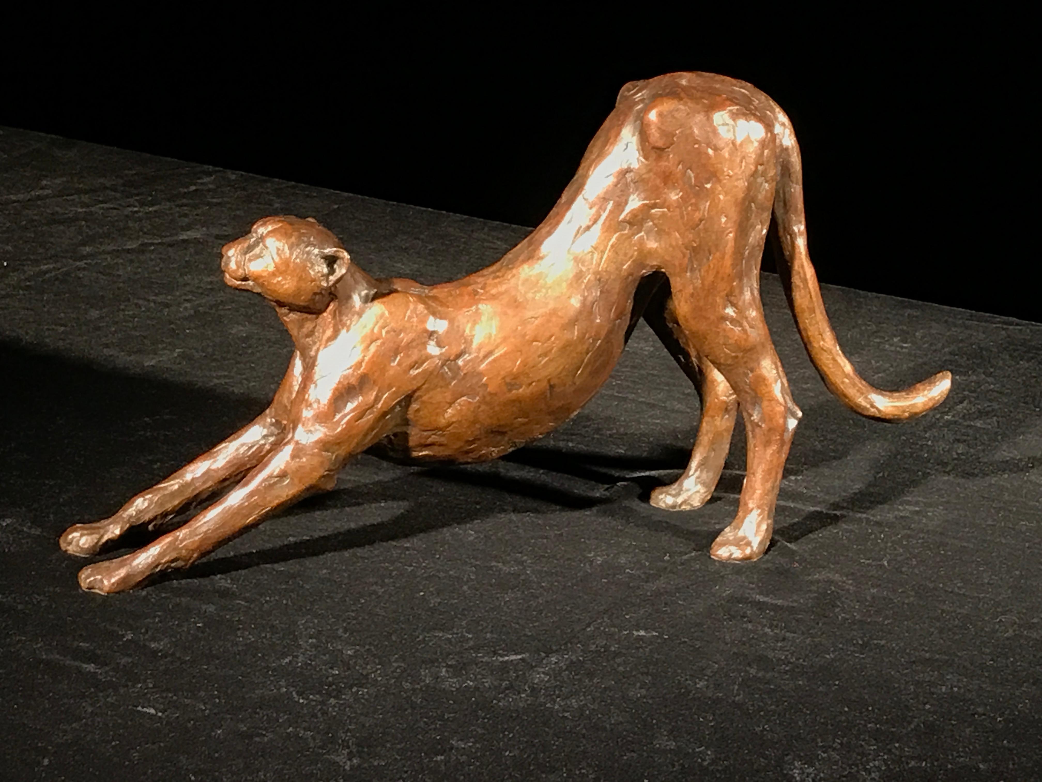 Cheetah Stretching Ingwe FoundryS31 Bronze Sculpture Maquette 3/15 Monogram BMR  For Sale 1