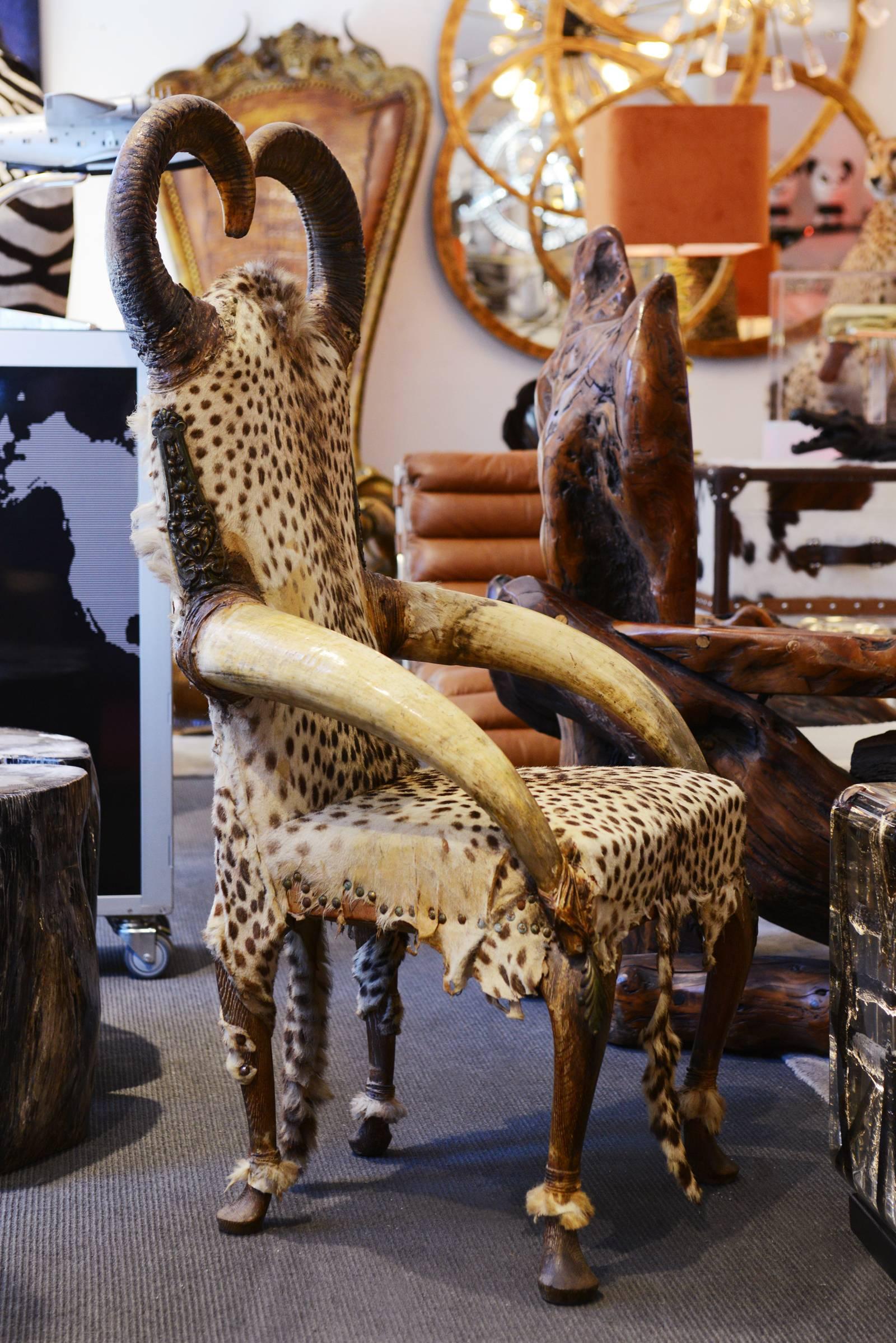 French Cheetah Vintage Armchair Upholstered with Two Real Cheetah Skins