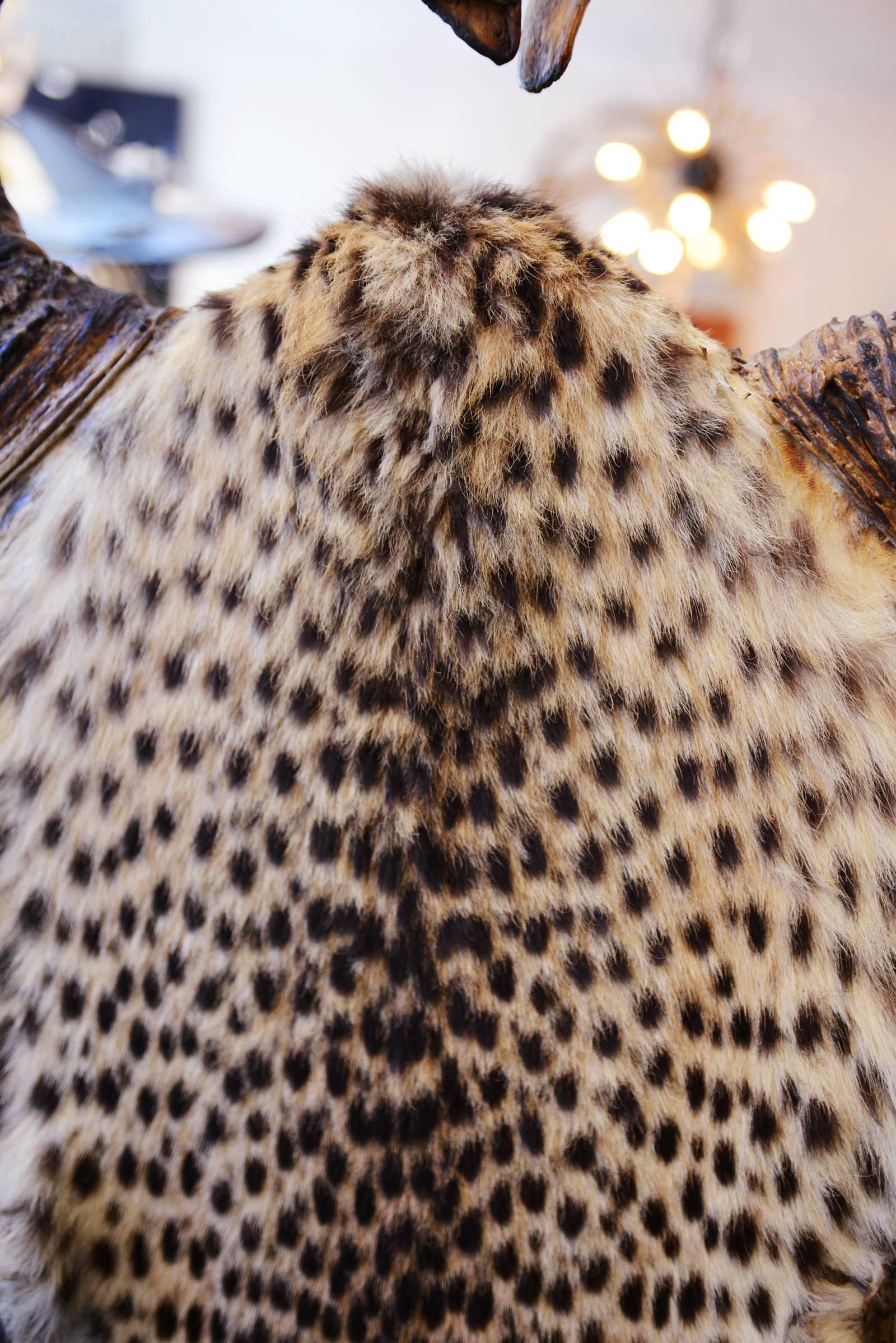 Cheetah Vintage Armchair Upholstered with Two Real Cheetah Skins In Fair Condition In Paris, FR