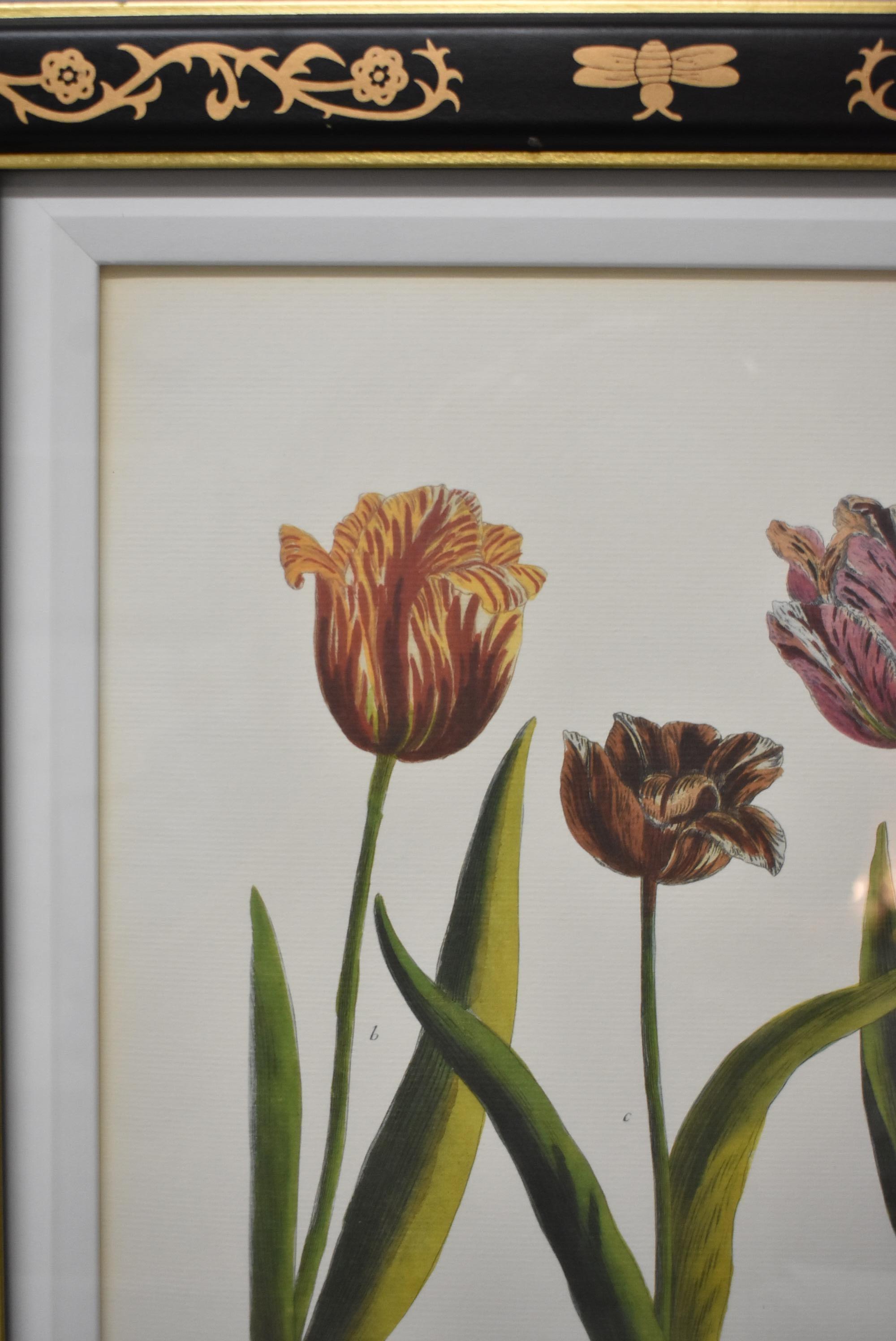 Unknown Chelsea House December Tulip A Bumble Bee Frame
